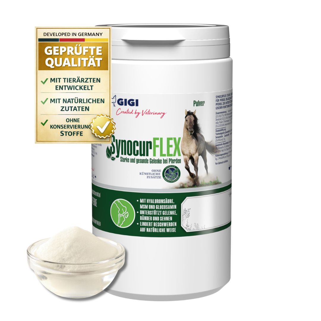 Produktbehälter mit Pulver und Schüssel. Text: SynocurFlex, Gelenke Für Pferde. Geprüfte Qualität.