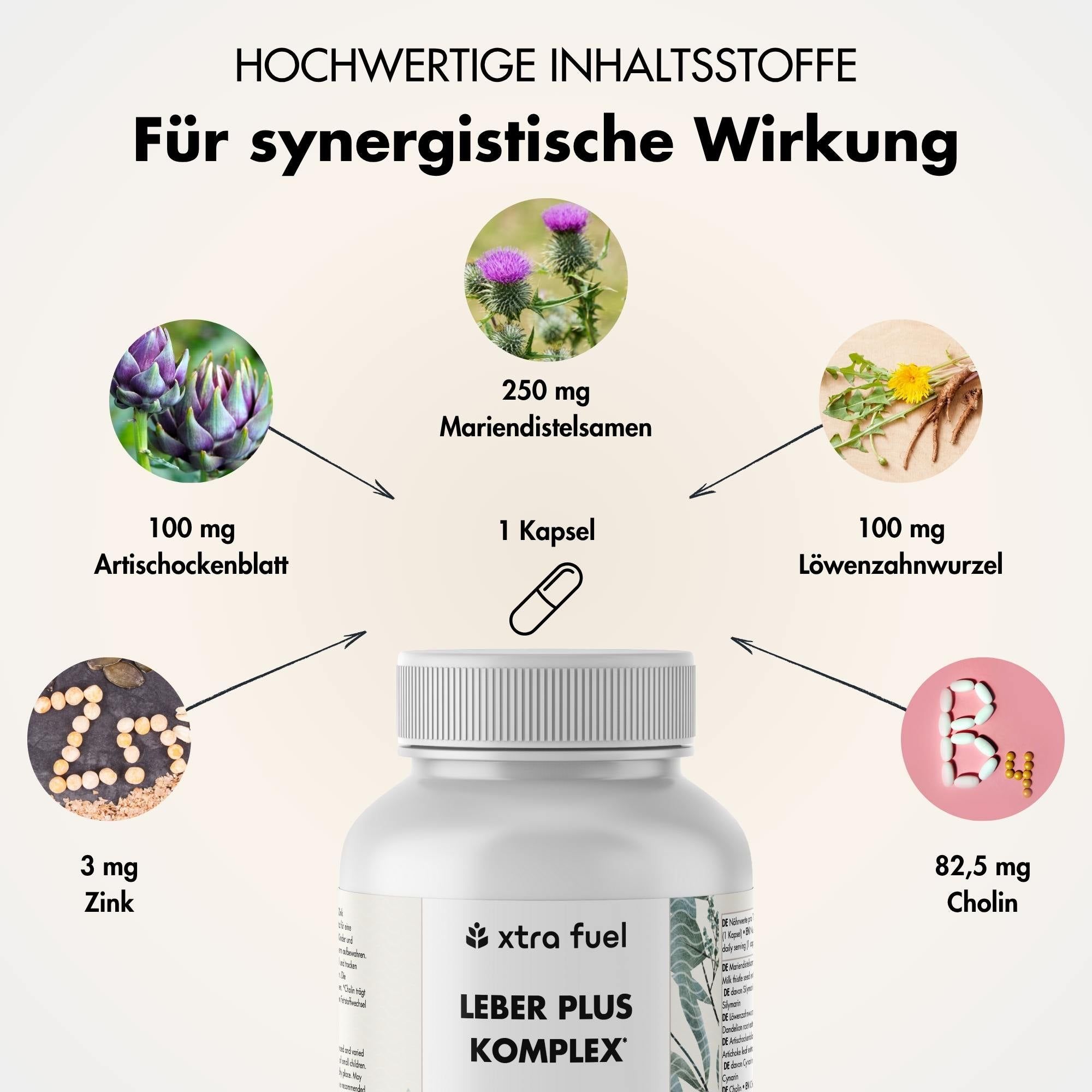 Grafik mit Zutaten: Mariendistel, Artischocke, Löwenzahn, Zink, Cholin. Flasche mit LEBER PLUS KOMPLEX.