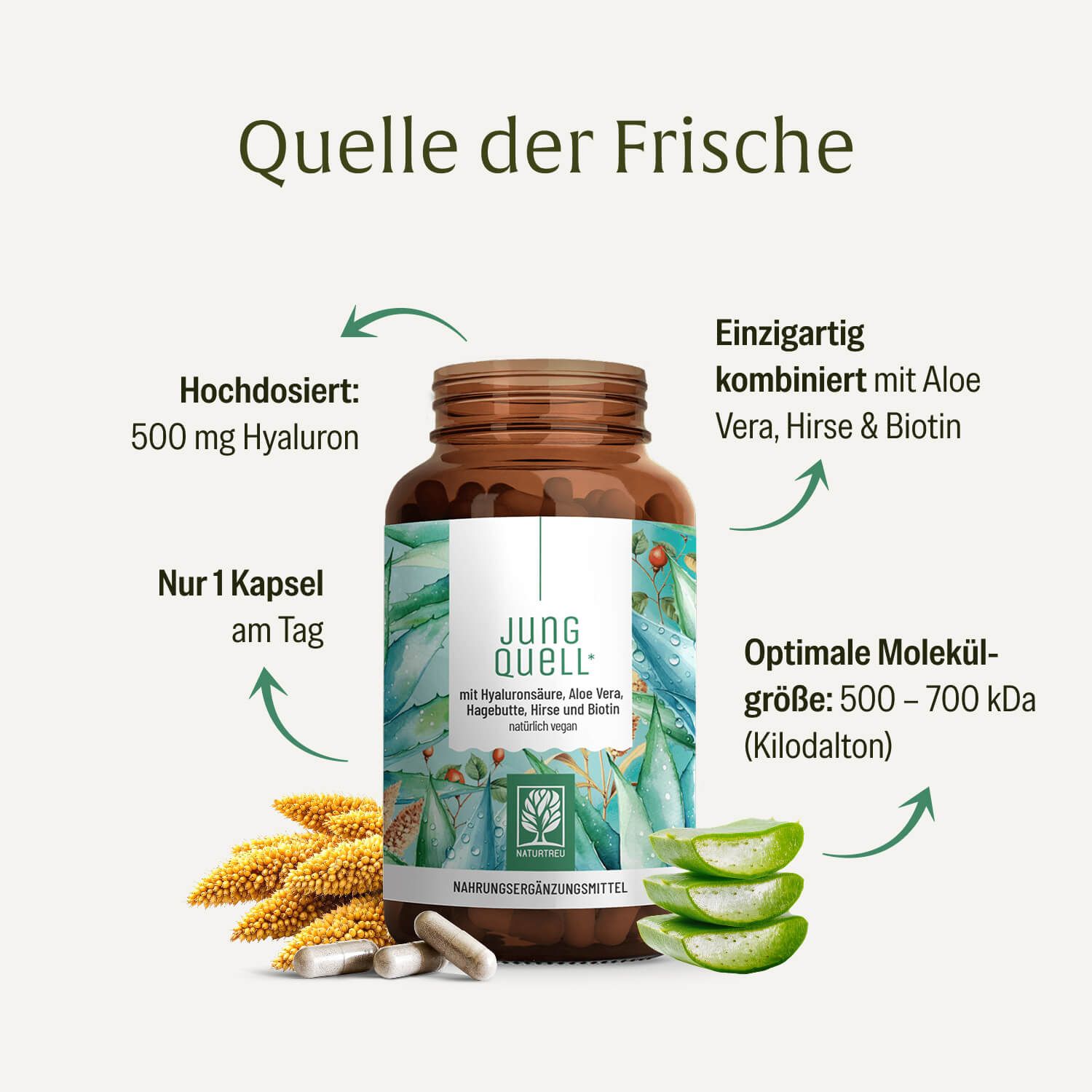 NATURTREU® Jung Quell Flasche mit Aloe Vera, Hirse, Biotin. 500mg Hyaluron.