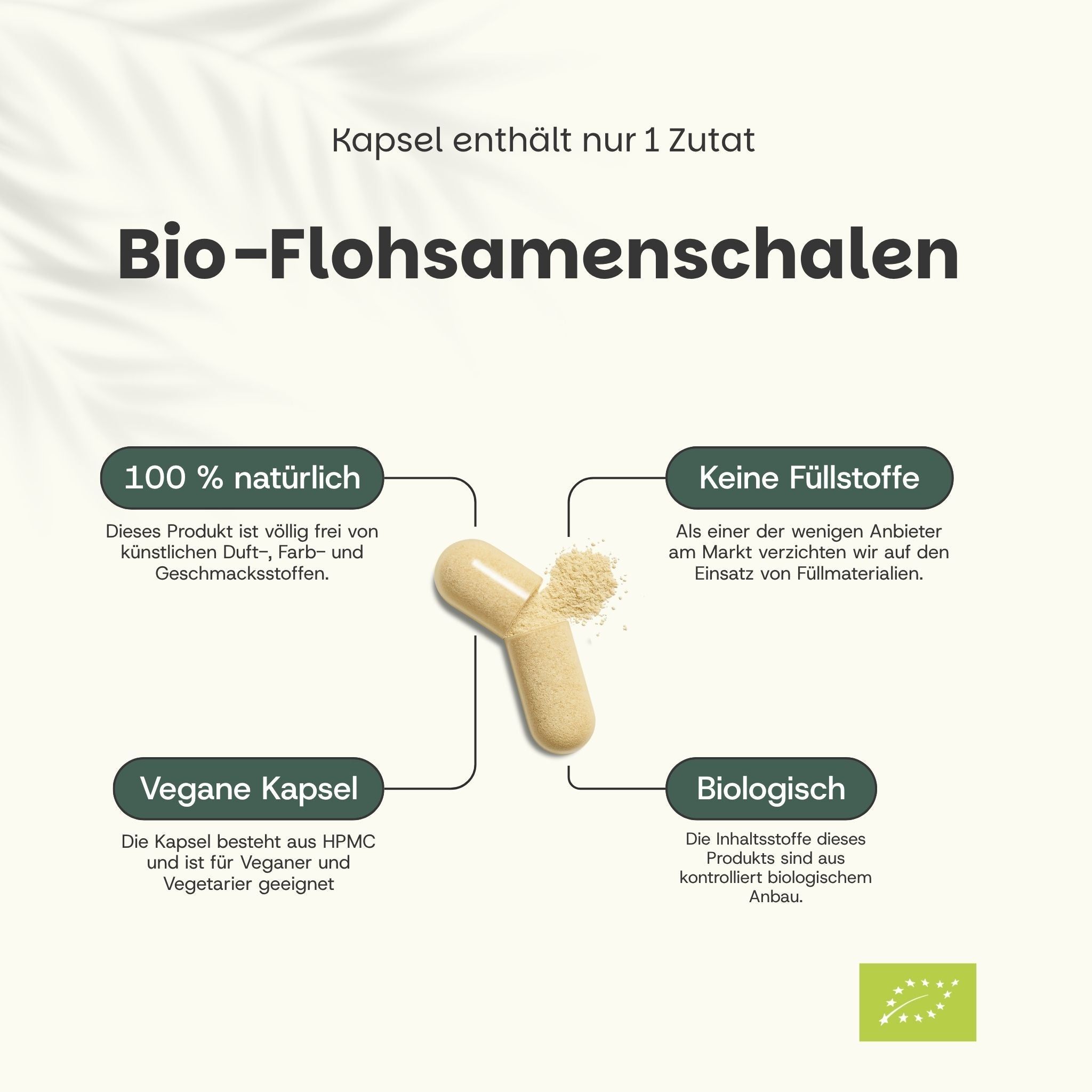 Eine Kapsel mit Bio-Flohsamenschalen, 100% natürlich, ohne Füllstoffe, vegan und biologisch.