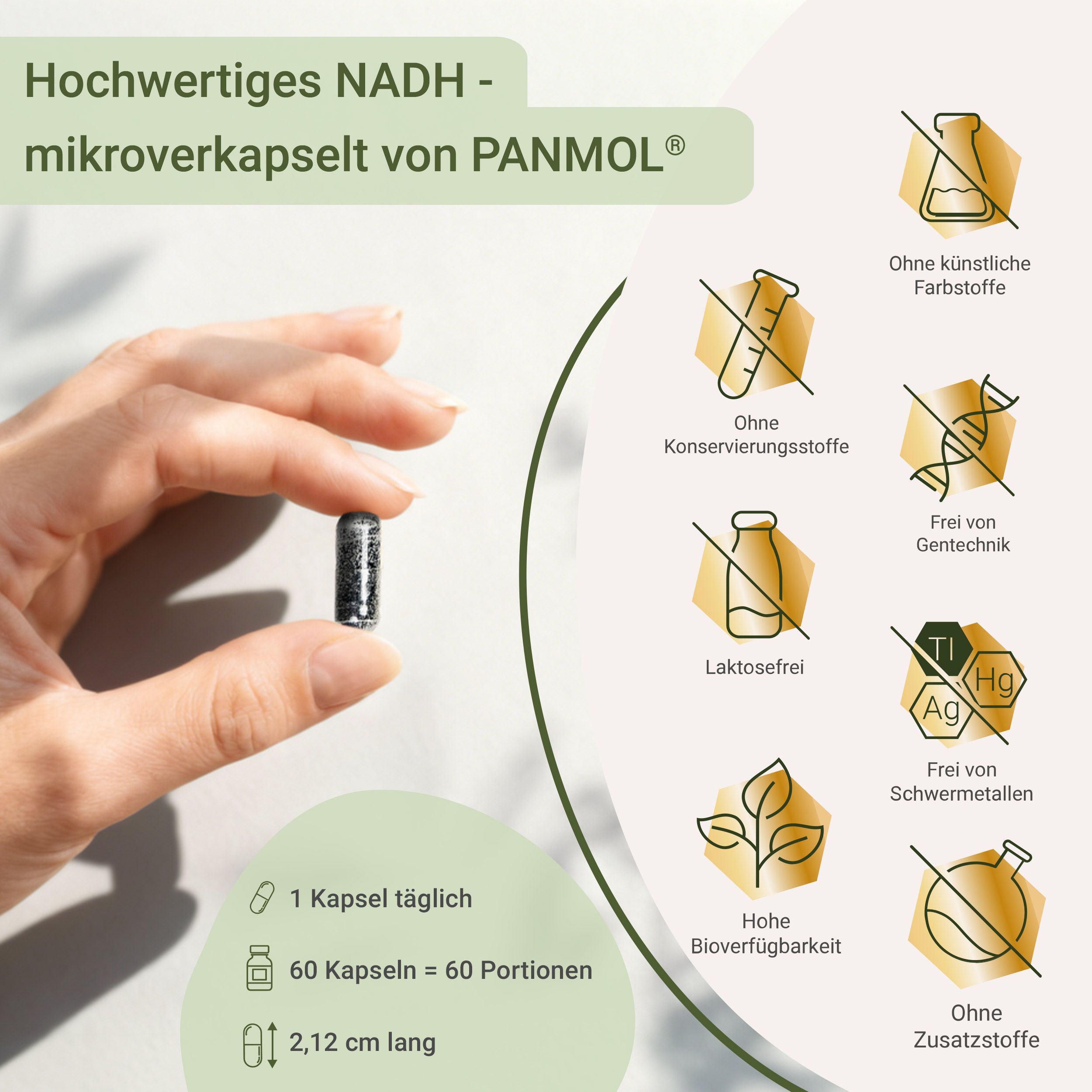 Eine Hand hält eine einzelne, dunkle NADH-Kapsel. Icons zeigen 'Frei von Zusatzstoffen' und 'Hohe Bioverfügbarkeit'.