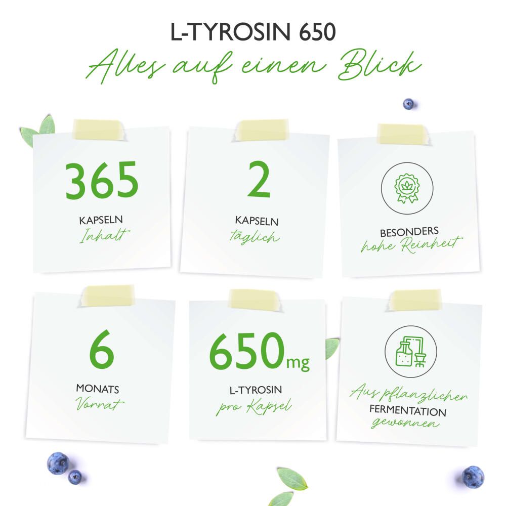 Infografik mit 6 Notizzetteln. Angaben zu Kapseln, Tagesdosis, Reinheit, Vorrat, mg pro Kapsel, Fermentation.