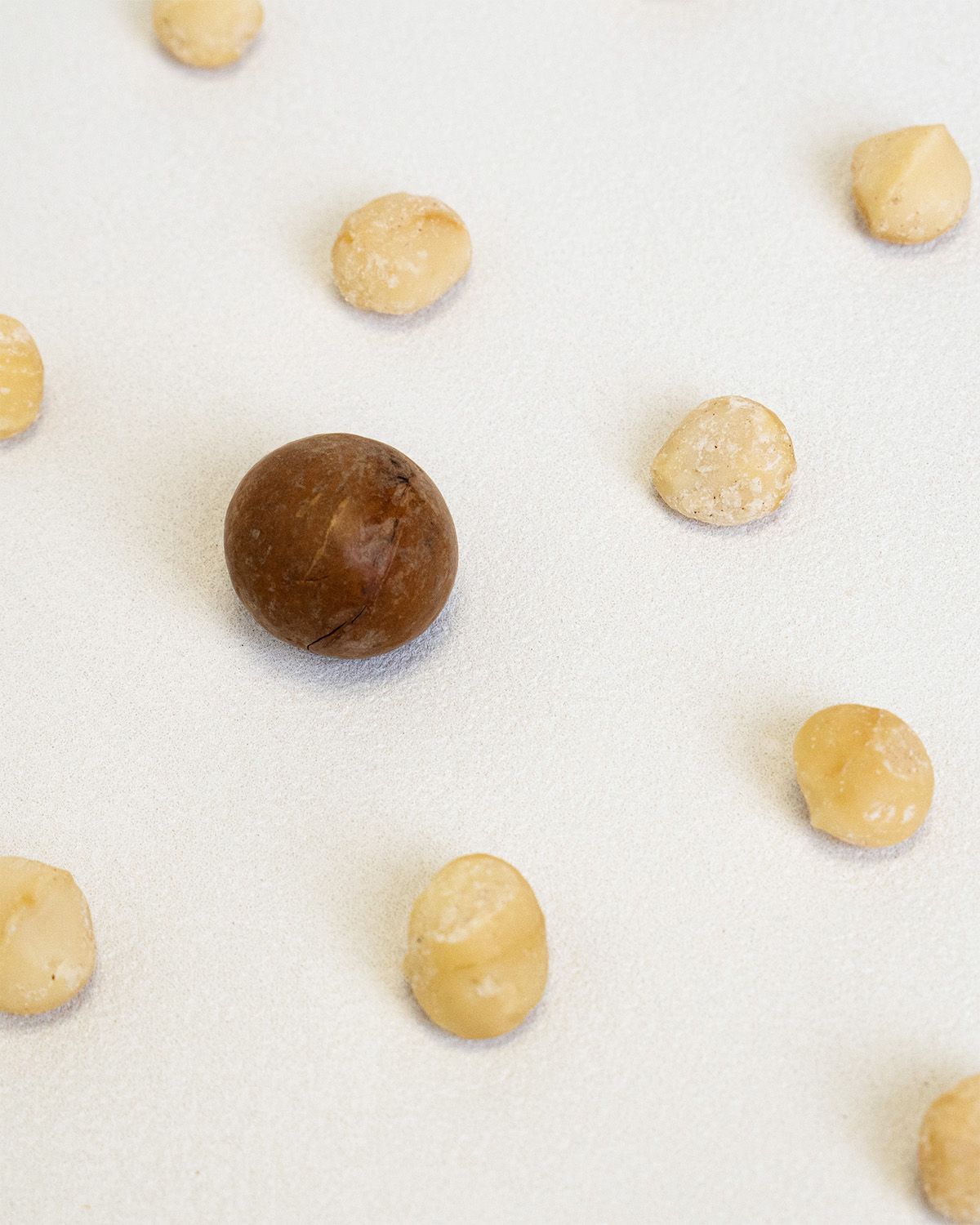 Macadamia-Nüsse auf weißem Untergrund. Einige sind hell, andere dunkelbraun.