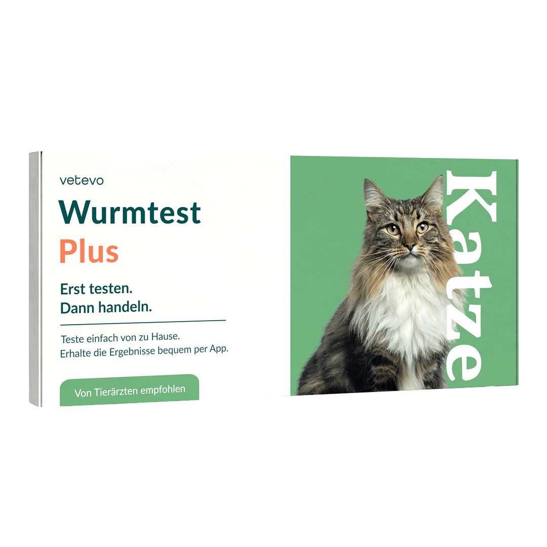 Produktverpackung Wurmtest Plus Katze. Text: Erst testen. Dann handeln. Von Tierärzten empfohlen. Katze-Illustration.