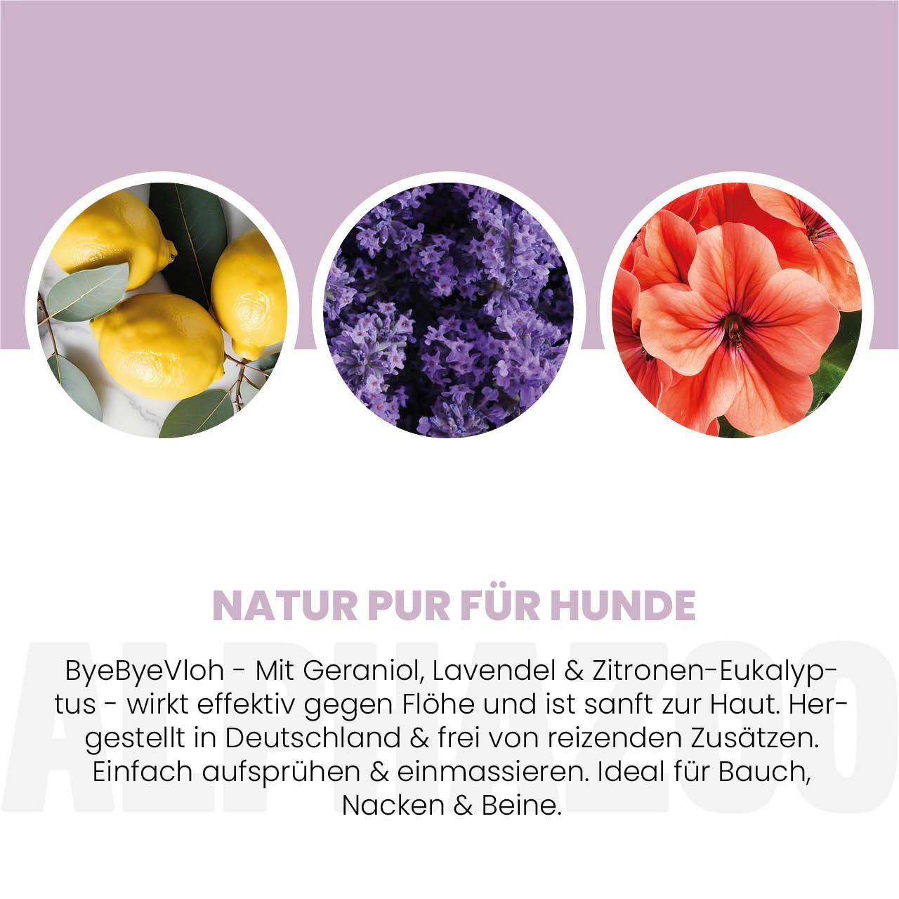 Kreisförmige Abbildungen von Zitrone, Lavendel und Blüte. Text: Natur pur für Hunde. ByeByeVloh mit Inhaltsstoffen.