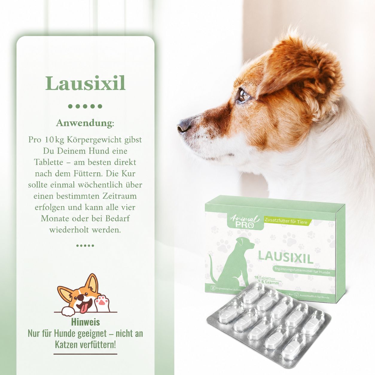 LAUSIXIL Packung und Blister neben einem Hund. Anwendungshinweise auf einem Infoblatt.