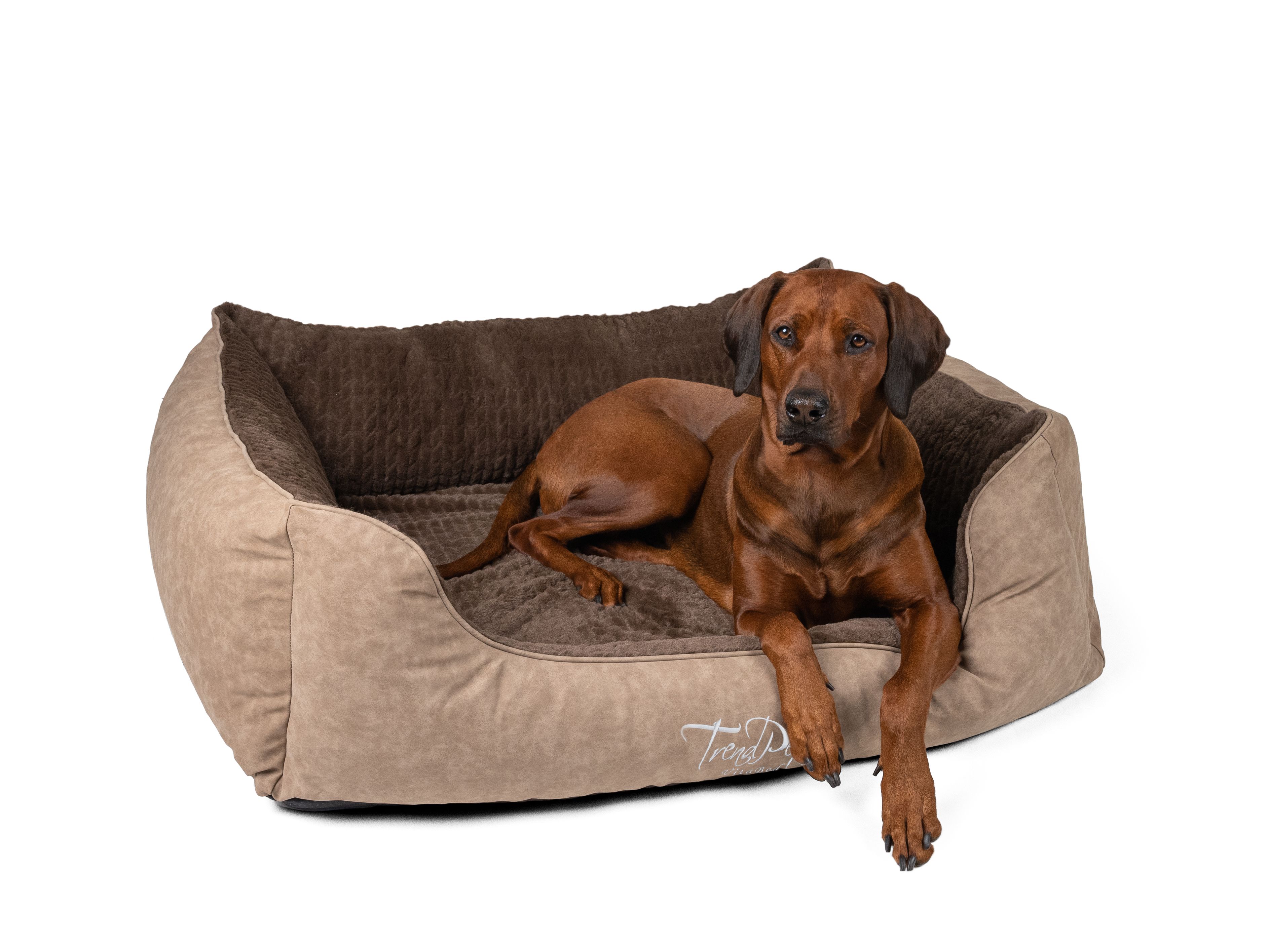 Hund liegt in orthopädischem Hundebett. Beige mit braunem Innenfutter. TrendPet VitaBed-Logo. Hund mit braunem Fell.