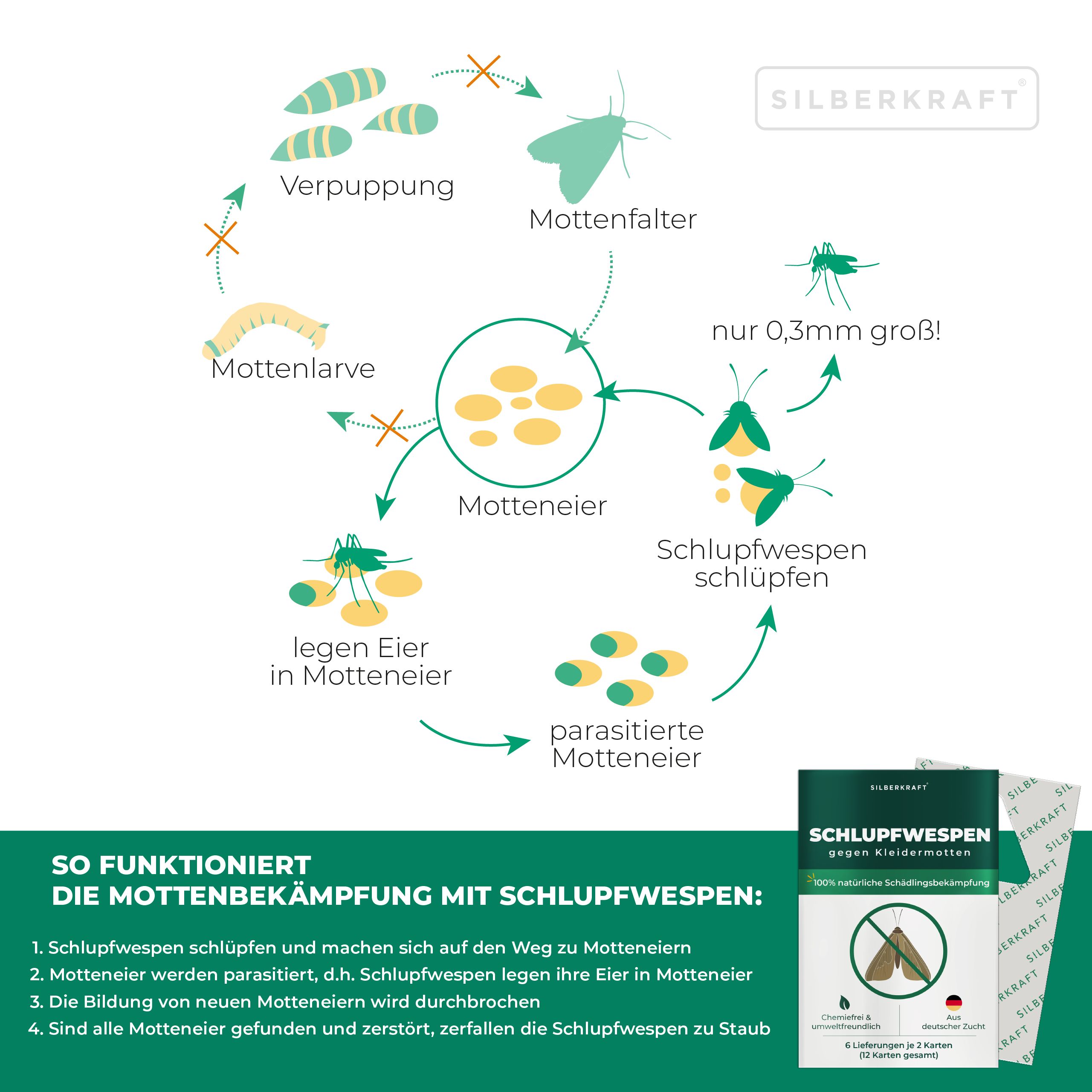 SILBERKRAFT Schlupfwespen gegen Kleidermotten