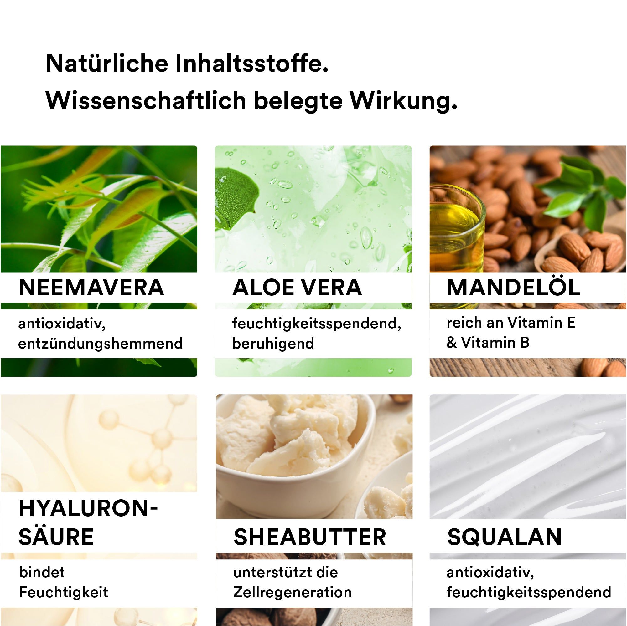 Text und Bilder von Inhaltsstoffen: Neem, Aloe Vera, Mandelöl, Hyaluronsäure, Sheabutter, Squalan. Wissenschaftlich belegte Wirkung.