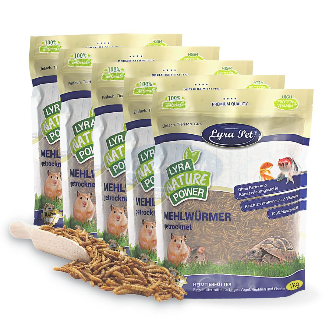Mehrere Beutel Lyra Pet Mehlwürmer getrocknet. Aufschrift: Lyra Nature Power, 100% natürlich. Mit Holzschaufel und getrockneten Mehlwürmern.