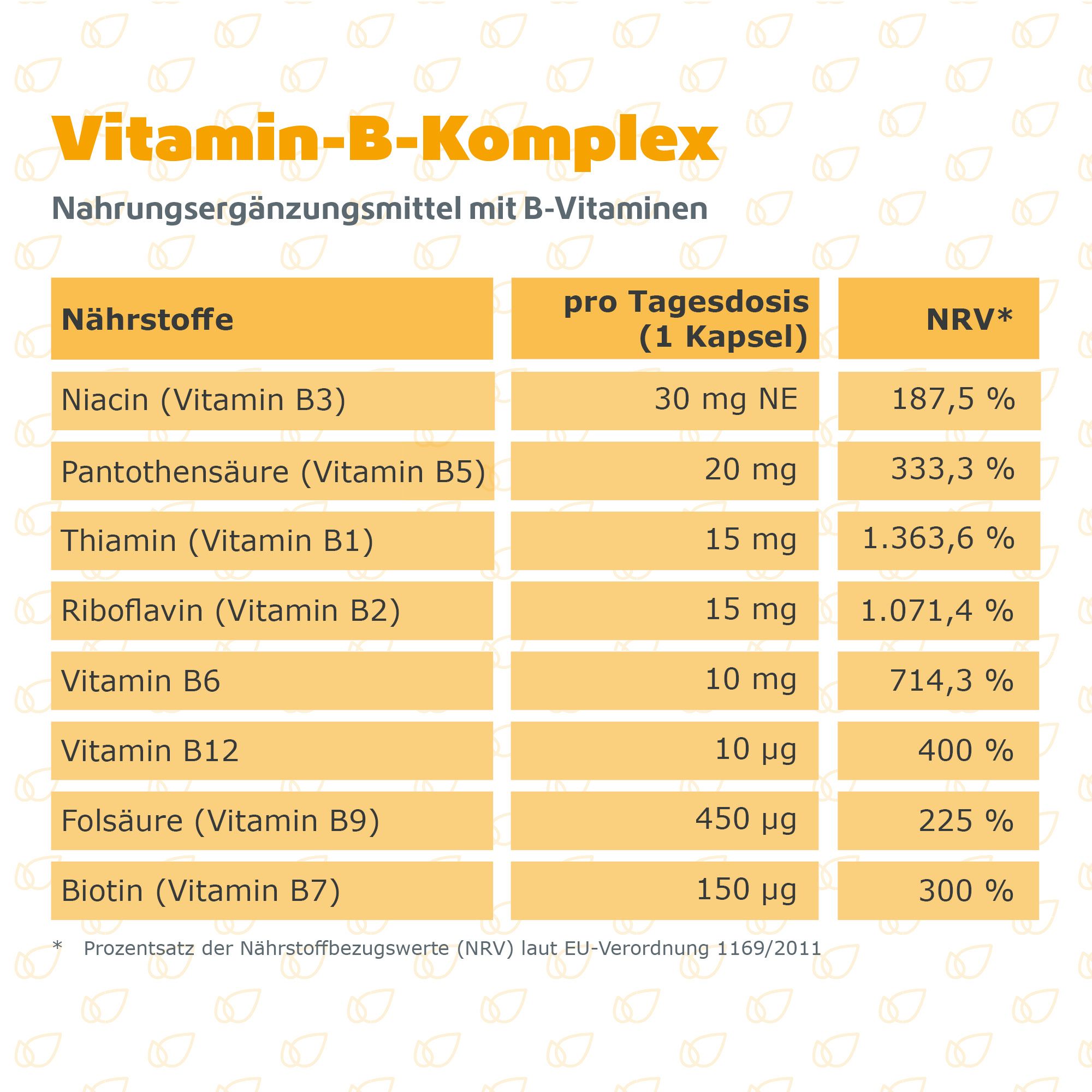 R(h)ein Nutrition Vitamin-B-Komplex