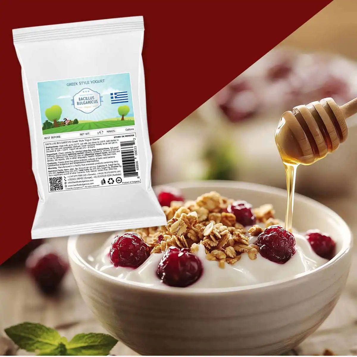 BACILLUS BULGARICUS Griechische Joghurt-Kulturen