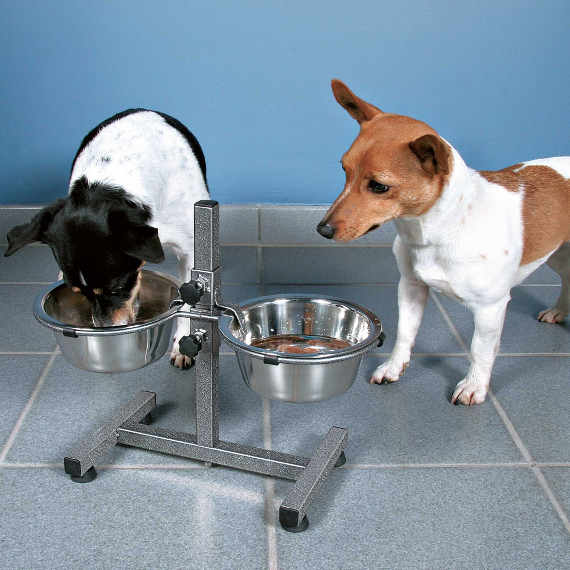 Höhenverstellbares Futterset - ideal für Hunde, die gerne erhöht fressen und trinken