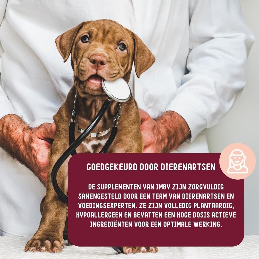 Tierärztlich geprüfte, hypoallergene Hundesupplemente von Imby.