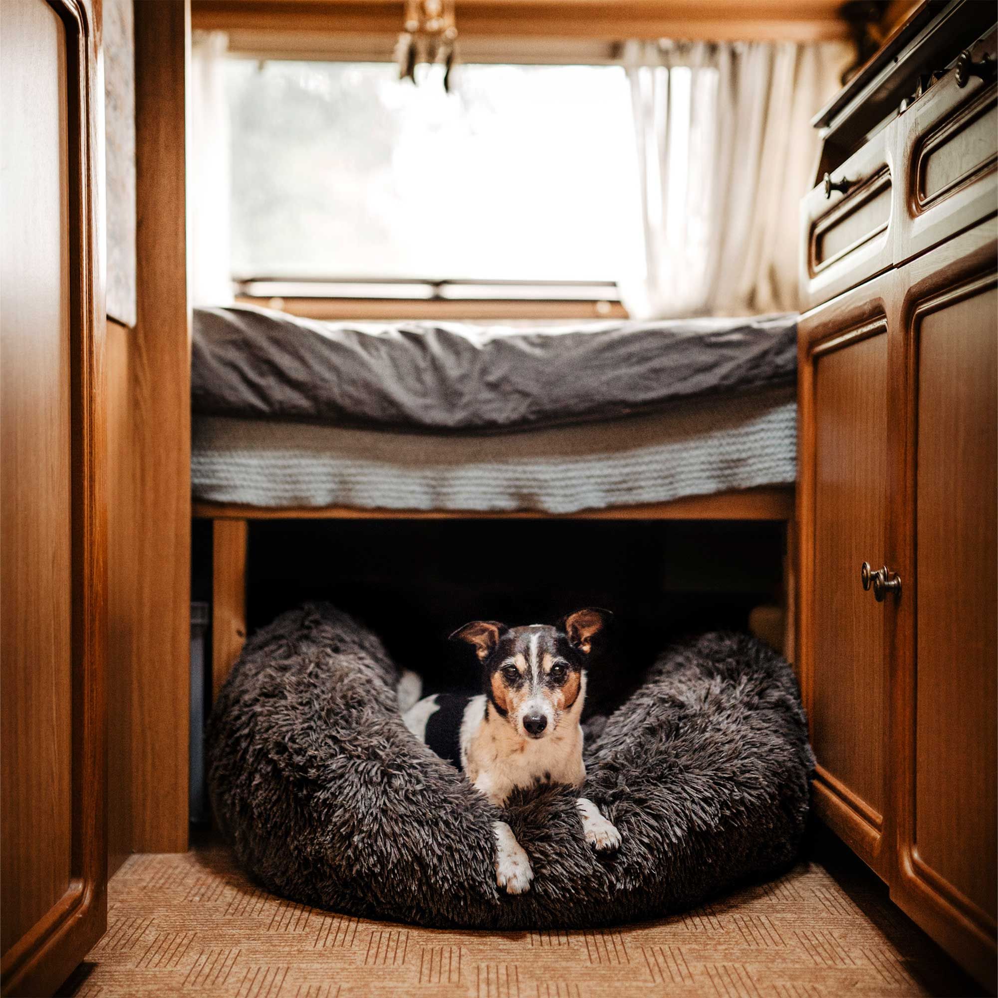 District 70 FUZZ - Hundebett in Donutform - Donutbett - Hundekissen - 100x100x30 cm