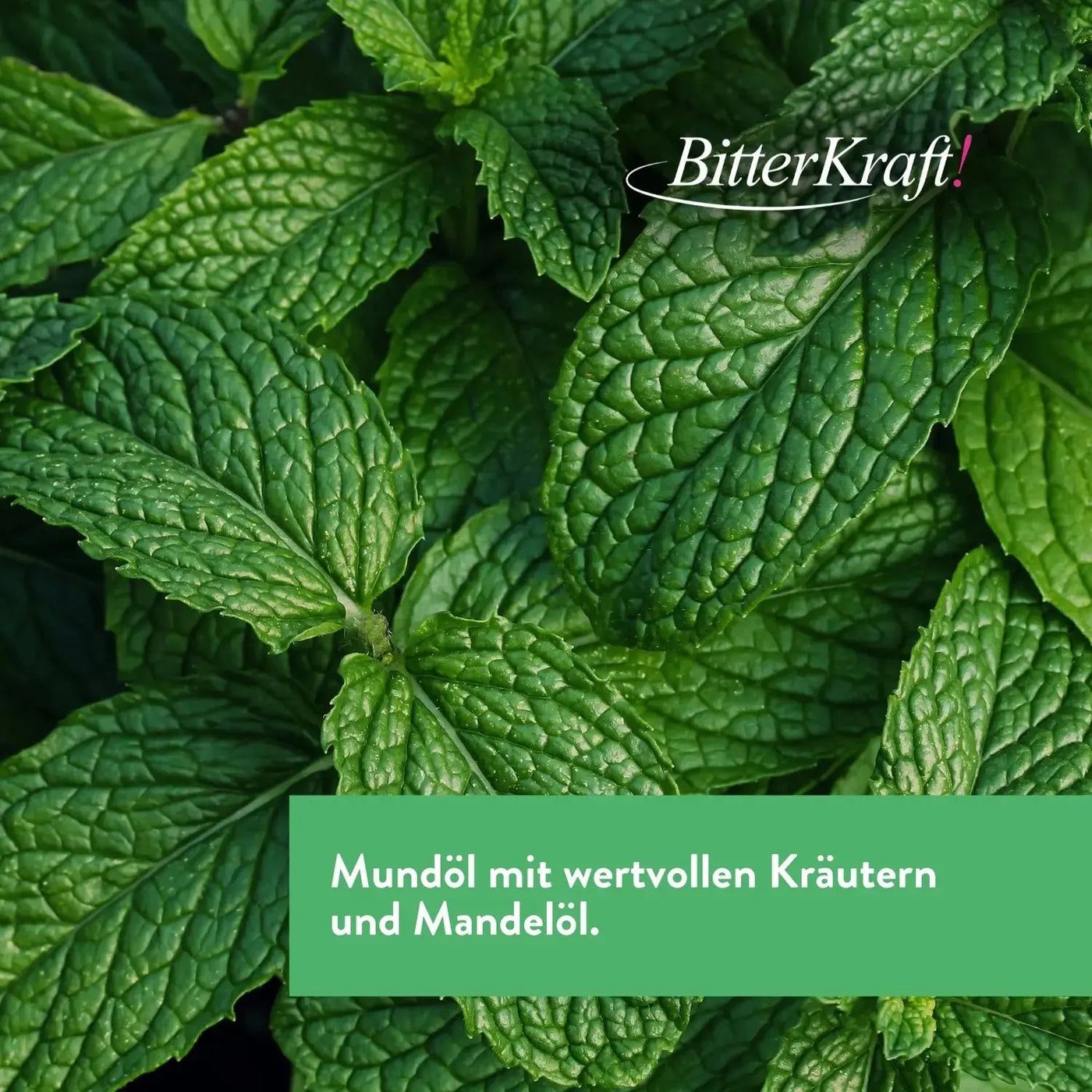 Nahaufnahme von grünen Minzblättern. Der Text 'Mundöl mit wertvollen Kräutern und Mandelöl' ist unten zu sehen.