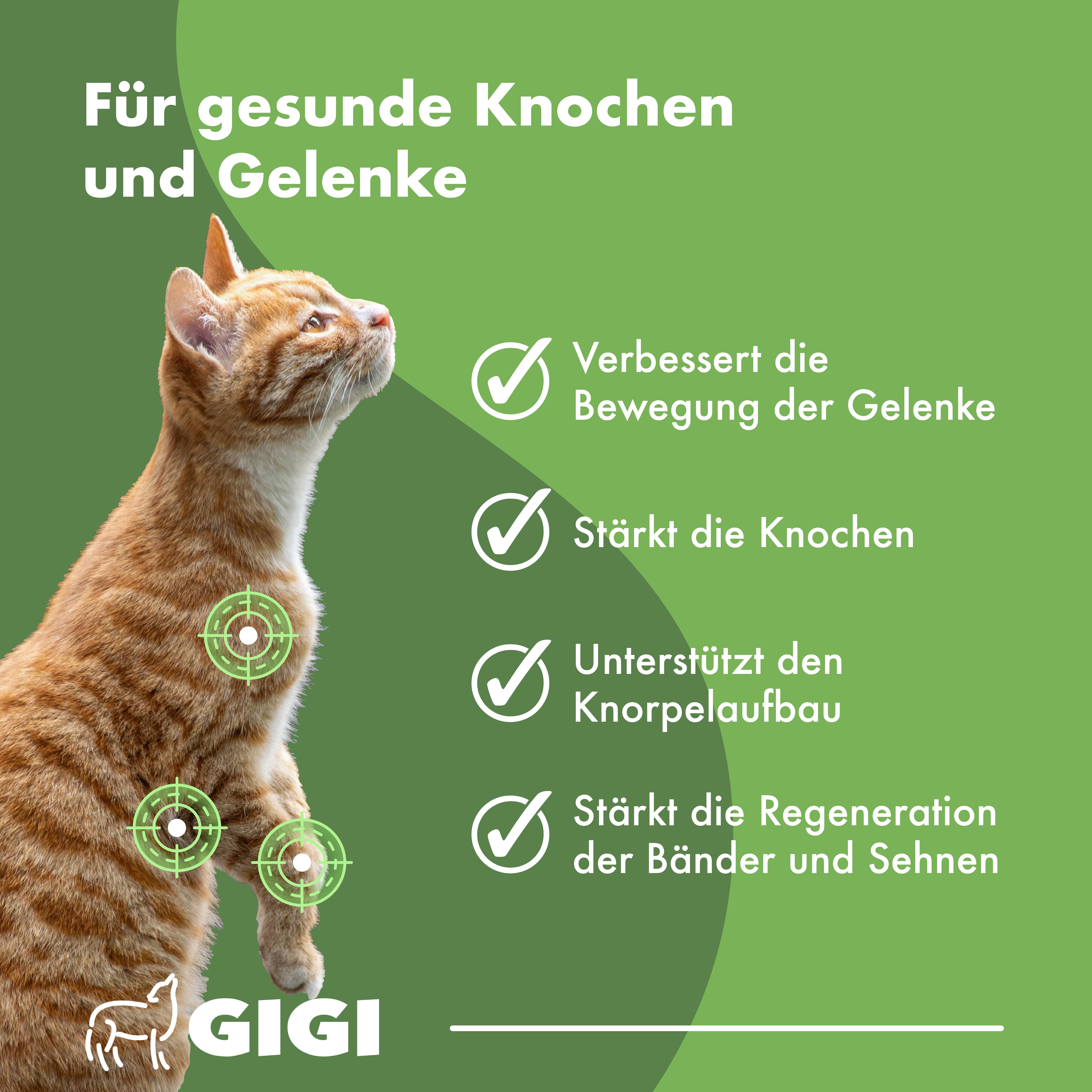 Katze mit grünen Kreisen an Gelenken. Text: Für gesunde Knochen und Gelenke. Verbessert Bewegung, stärkt Knochen, unterstützt Knorpelaufbau, stärkt Sehnen.