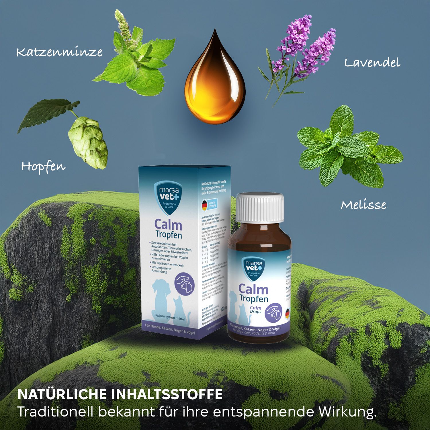 Braune Glasflasche und Karton auf Moos. Abgebildet sind Pflanzen: Katzenminze, Hopfen, Lavendel, Melisse.