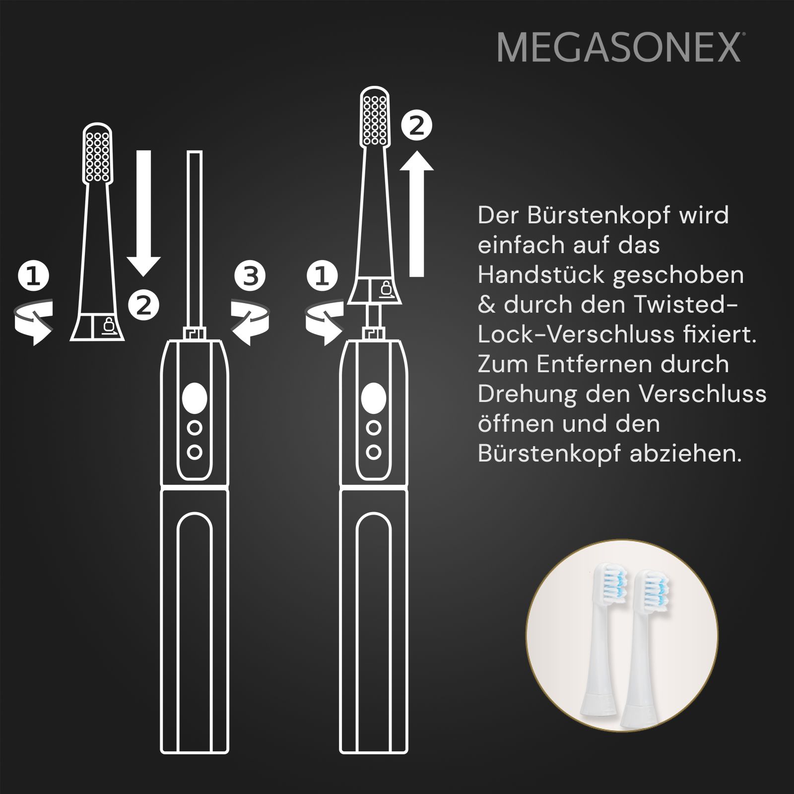 Grafische Darstellung der Montage eines Bürstenkopfes. 'MEGASONEX' Text und zwei Bürstenköpfe.
