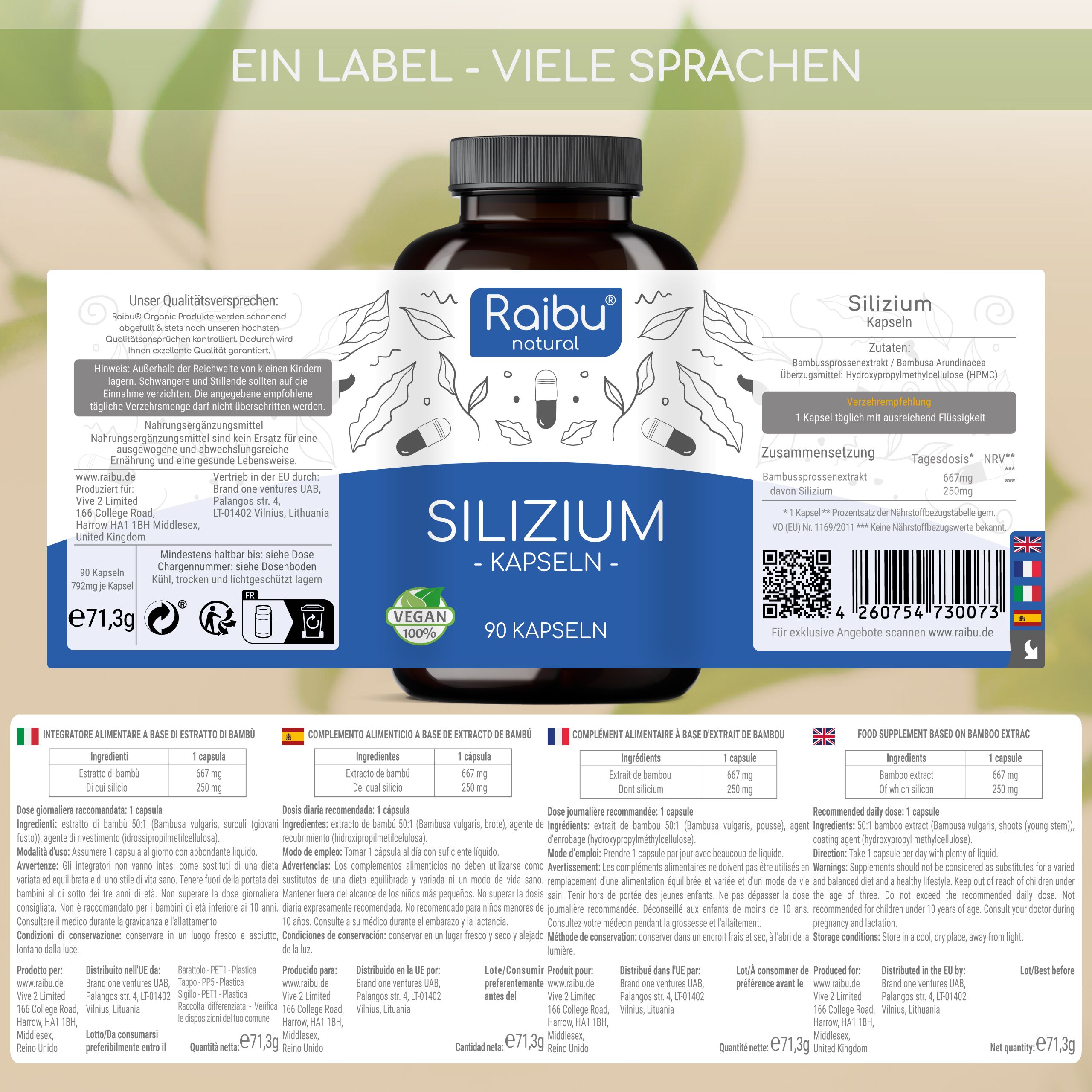 Produktetikett mit Text in mehreren Sprachen. Aufschrift: Silizium Kapseln, 90 Kapseln. Marke: Raibu natural. Vegan-Siegel.