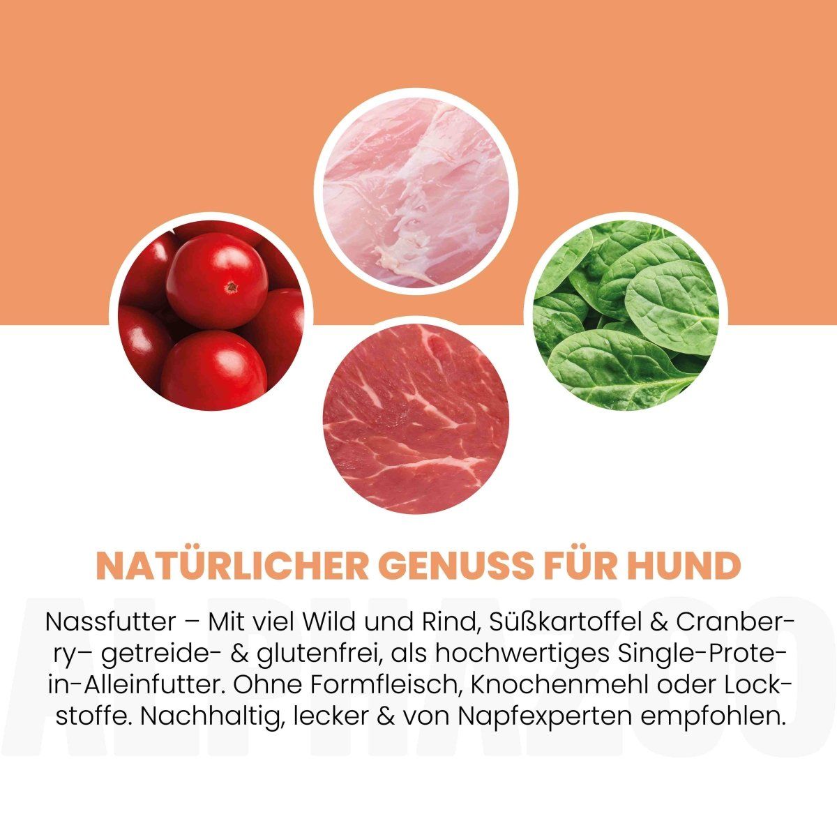 Kreisförmige Abbildungen von Zutaten: Cranberries, Fleisch, Spinat. Text: Natürlicher Genuss für Hunde. Ohne Getreide, glutenfrei, ohne Formfleisch.