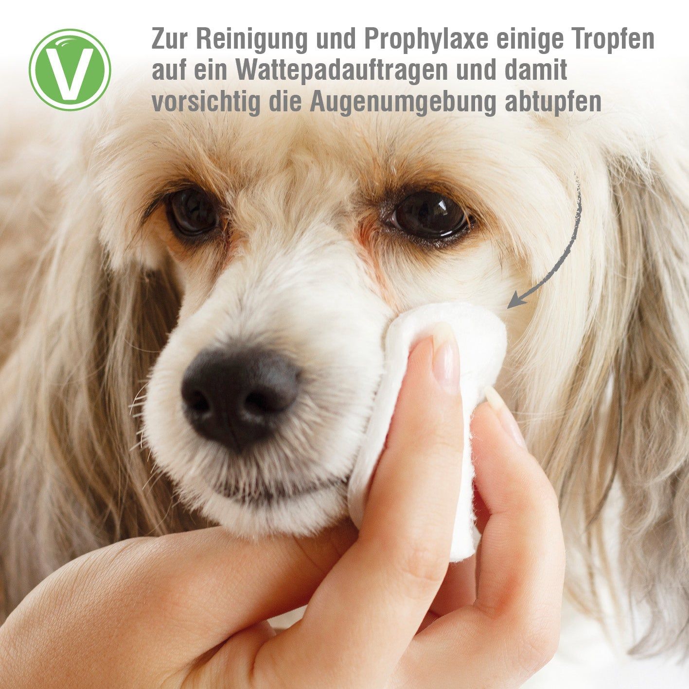 Vetlando Augenpflege