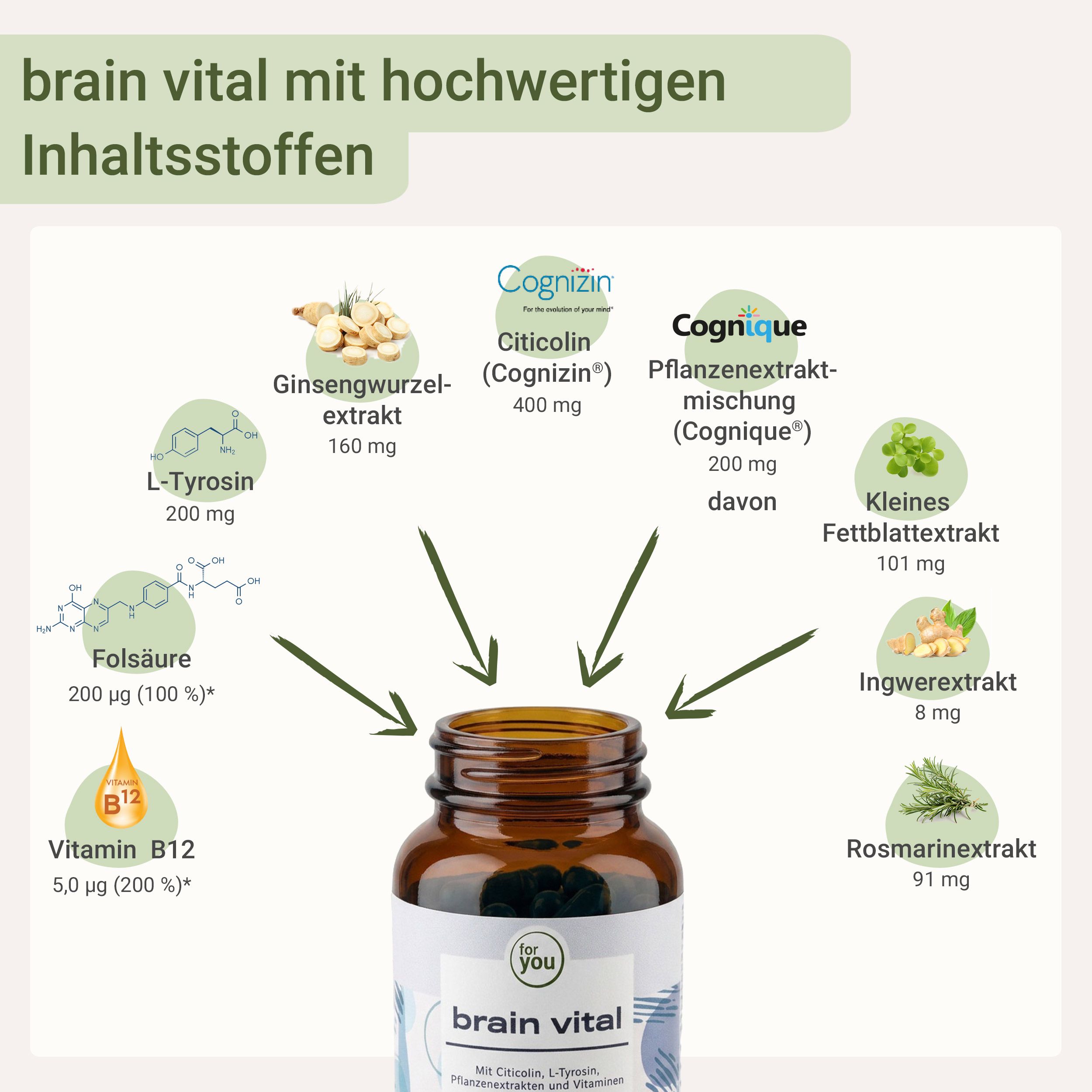 Brain Vital Flasche mit Übersicht der Inhaltsstoffe und Mengen.