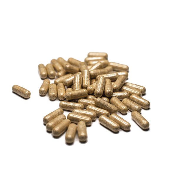 Haufen brauner Kapseln. Einzelne Kapseln sind länglich.