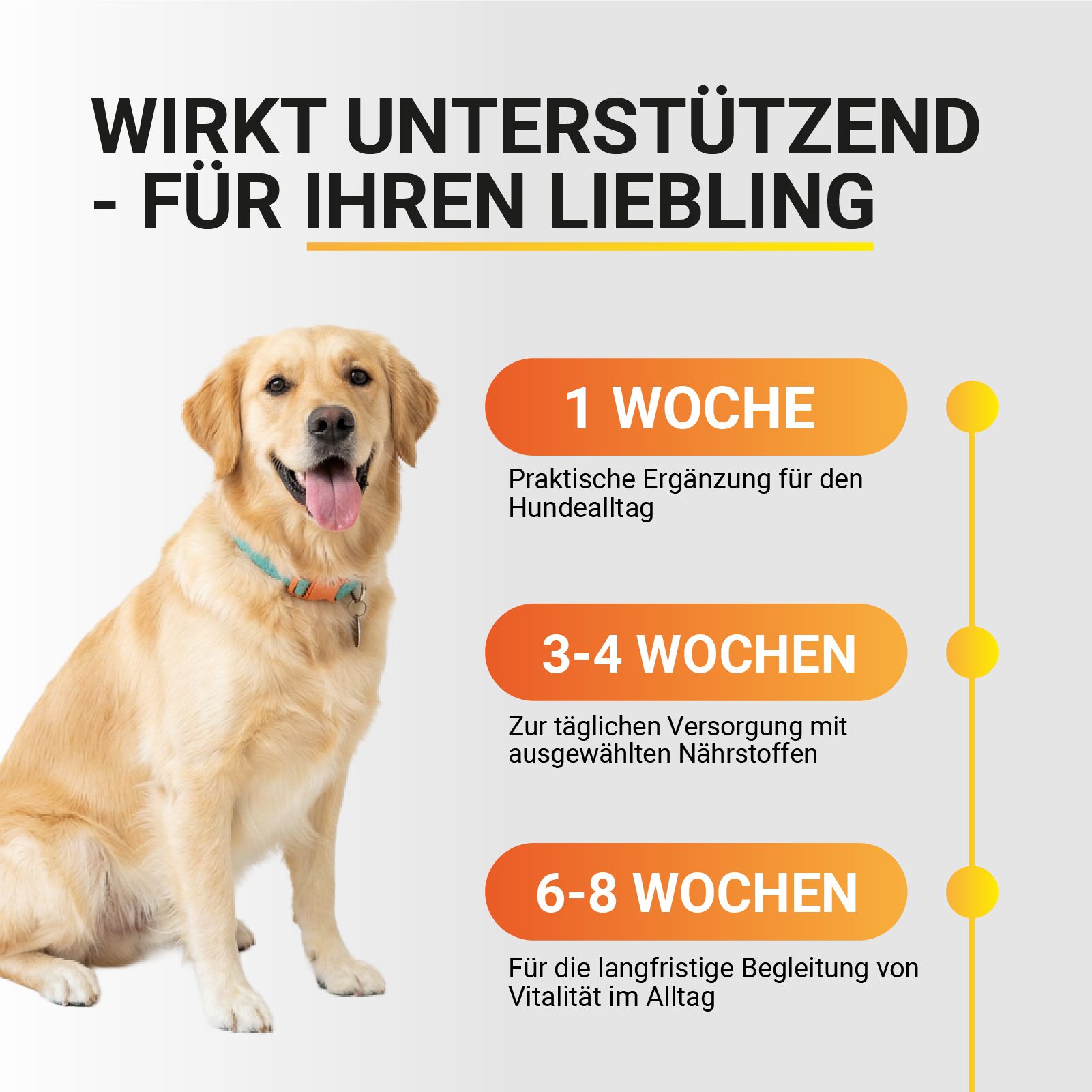 Hund mit Fütterungsempfehlung für Soft Snacks: 1-3 Kausnacks je nach Gewicht.