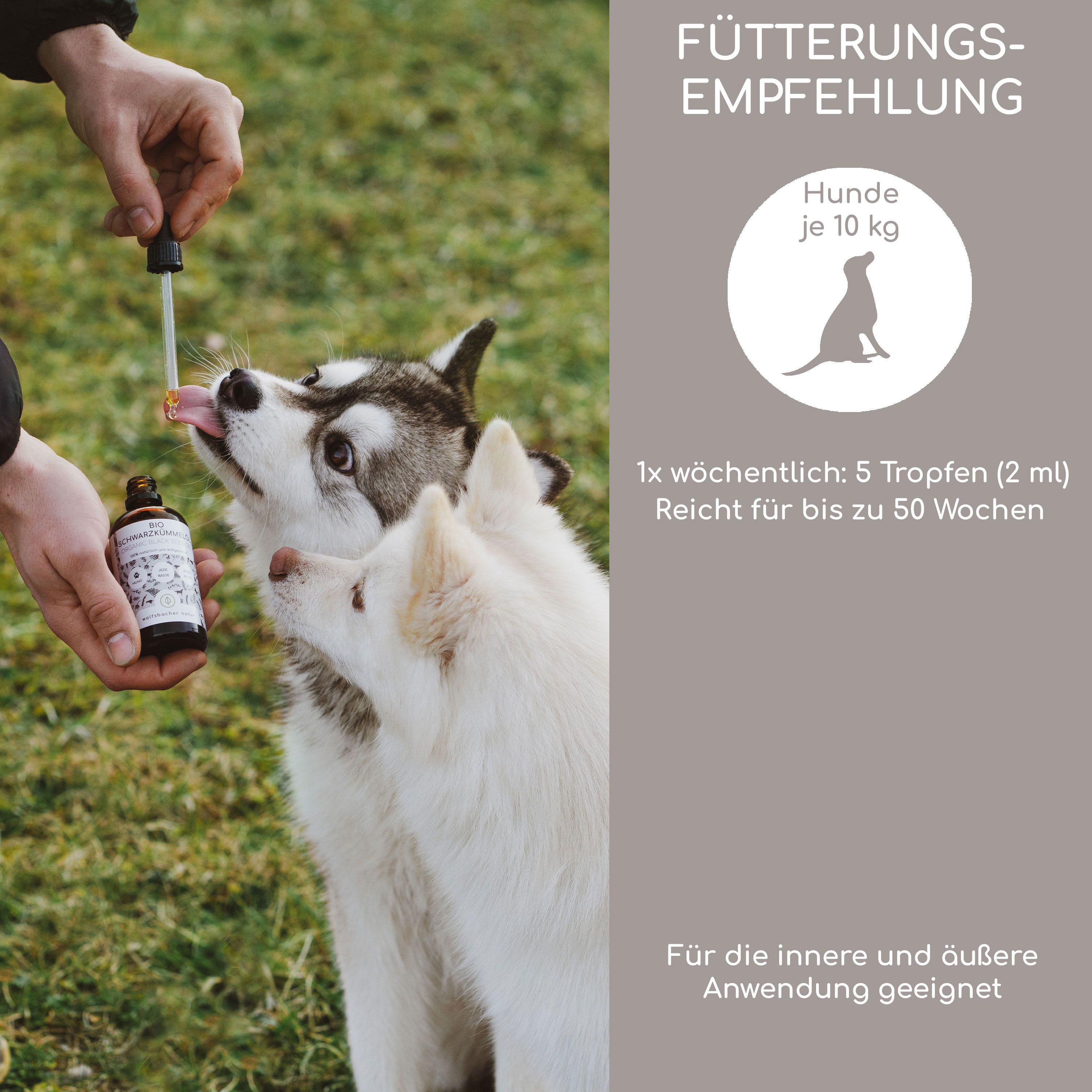 Zwei Hunde erhalten Tropfen aus einer Pipette, die von einer Hand gehalten wird. Fütterungsempfehlung für Hunde ist sichtbar.