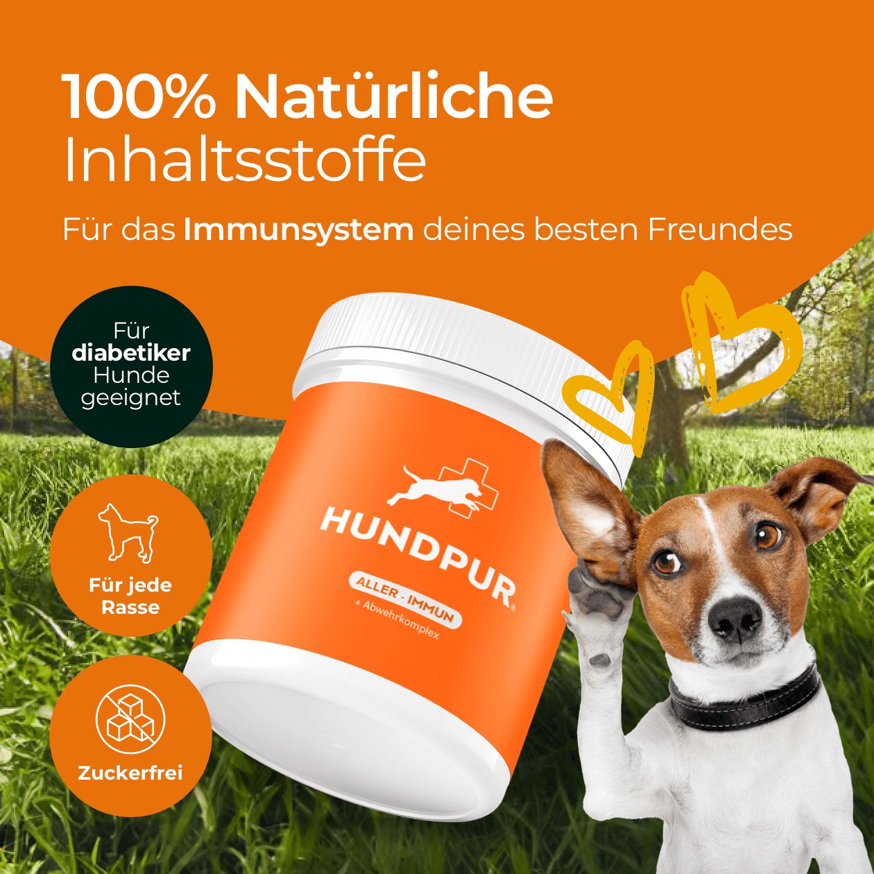 Produktglas mit orangefarbenem Etikett, HUNDPUR Aller-Immun. Text: 100% natürliche Inhaltsstoffe. Geeignet für Diabetiker. Für jede Rasse. Zuckerfrei. Hund mit Ohren.