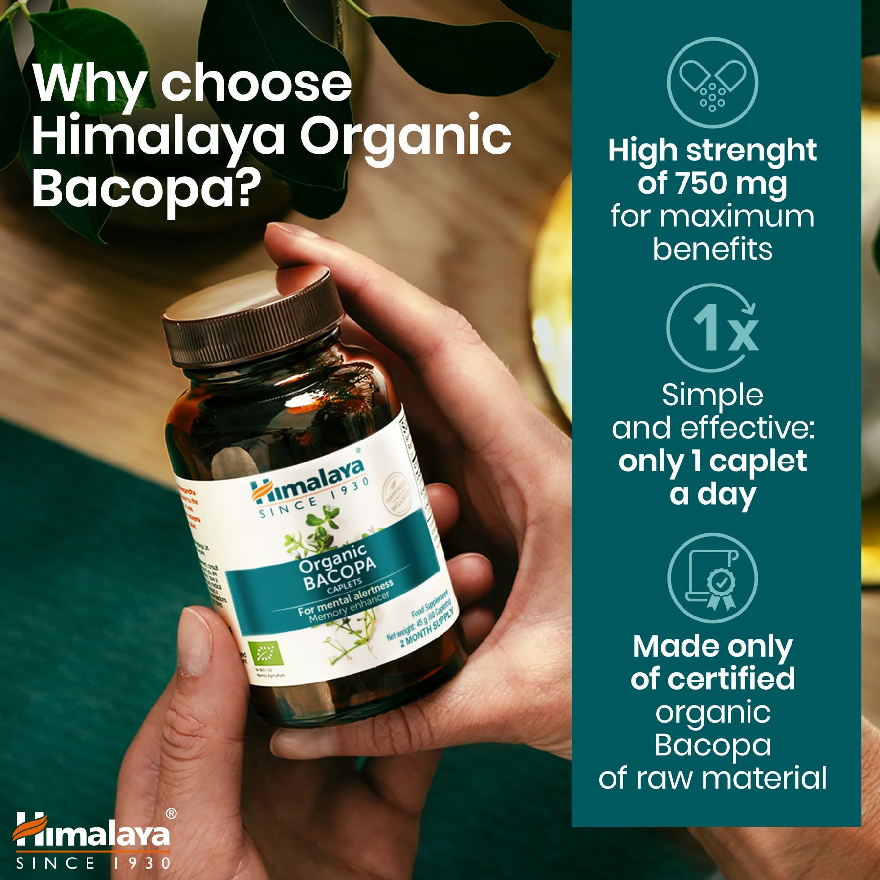 Himalaya Bio-Bacopa-Flasche in einer Hand gehalten. Aufschrift: Organic Bacopa Caplets. Zertifizierungen und Produktvorteile.