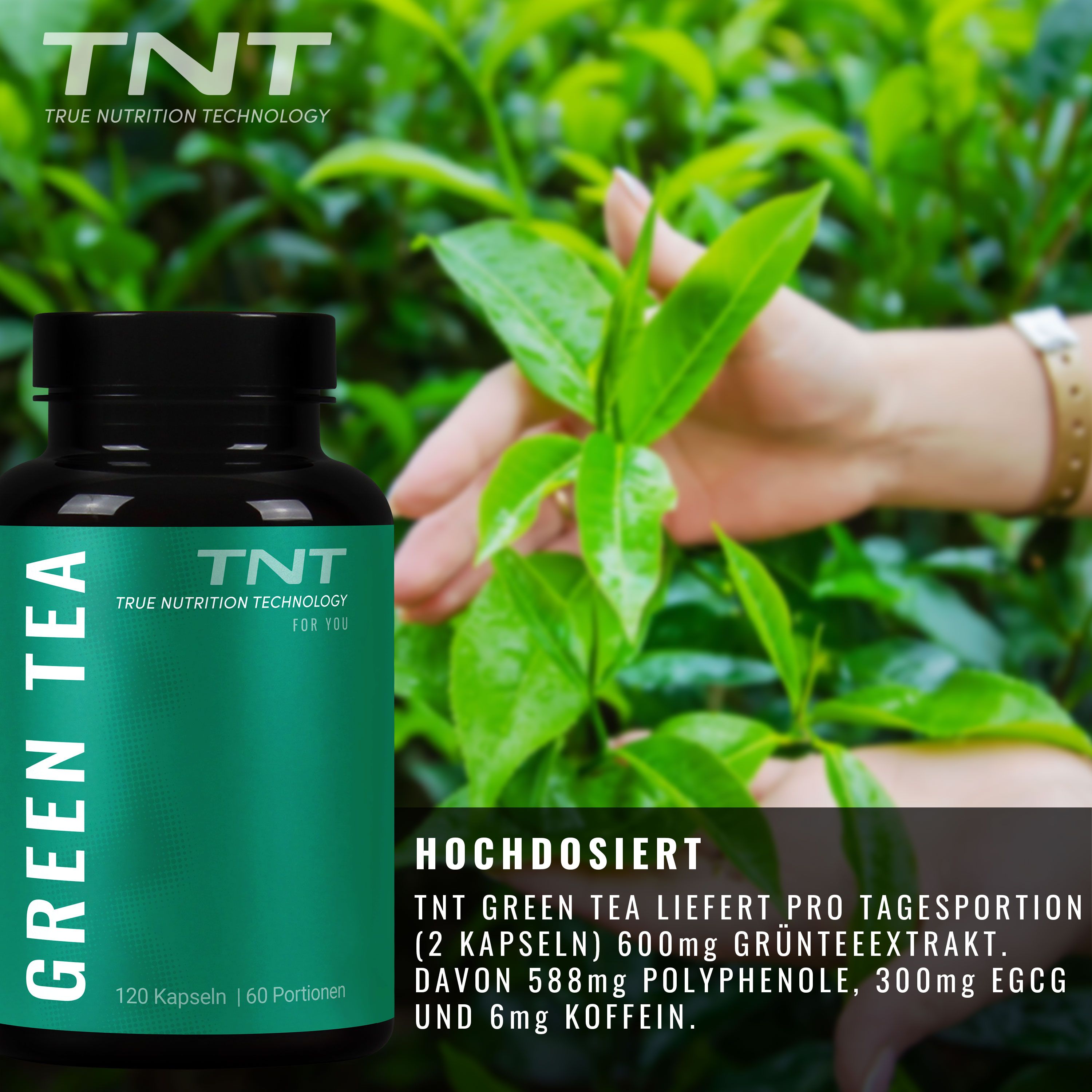 Eine Flasche mit grünem Etikett und dem Text "GREEN TEA" und "TNT" neben grünen Blättern.