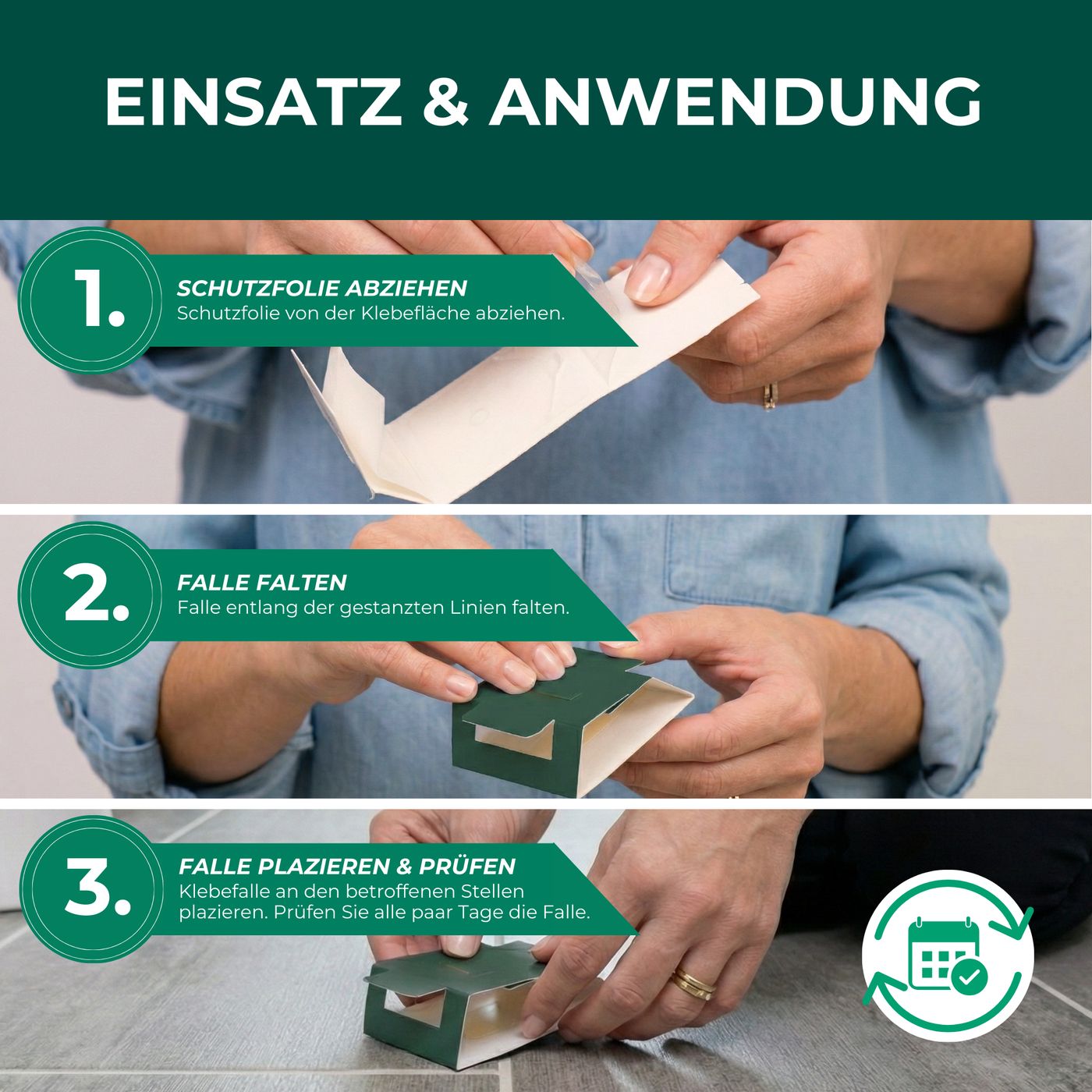 Anleitung zur Anwendung der Falle. 1. Schutzfolie abziehen. 2. Falte. 3. Falle platzieren & prüfen. Grüne Falle auf grauem Boden.