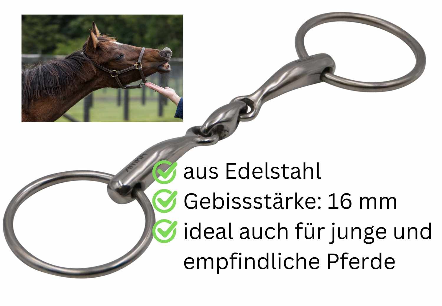 Doppelt gebrochene AMKA Wassertrense aus Edelstahl. Gebissstärke: 16 mm. Ideal für junge und empfindliche Pferde.