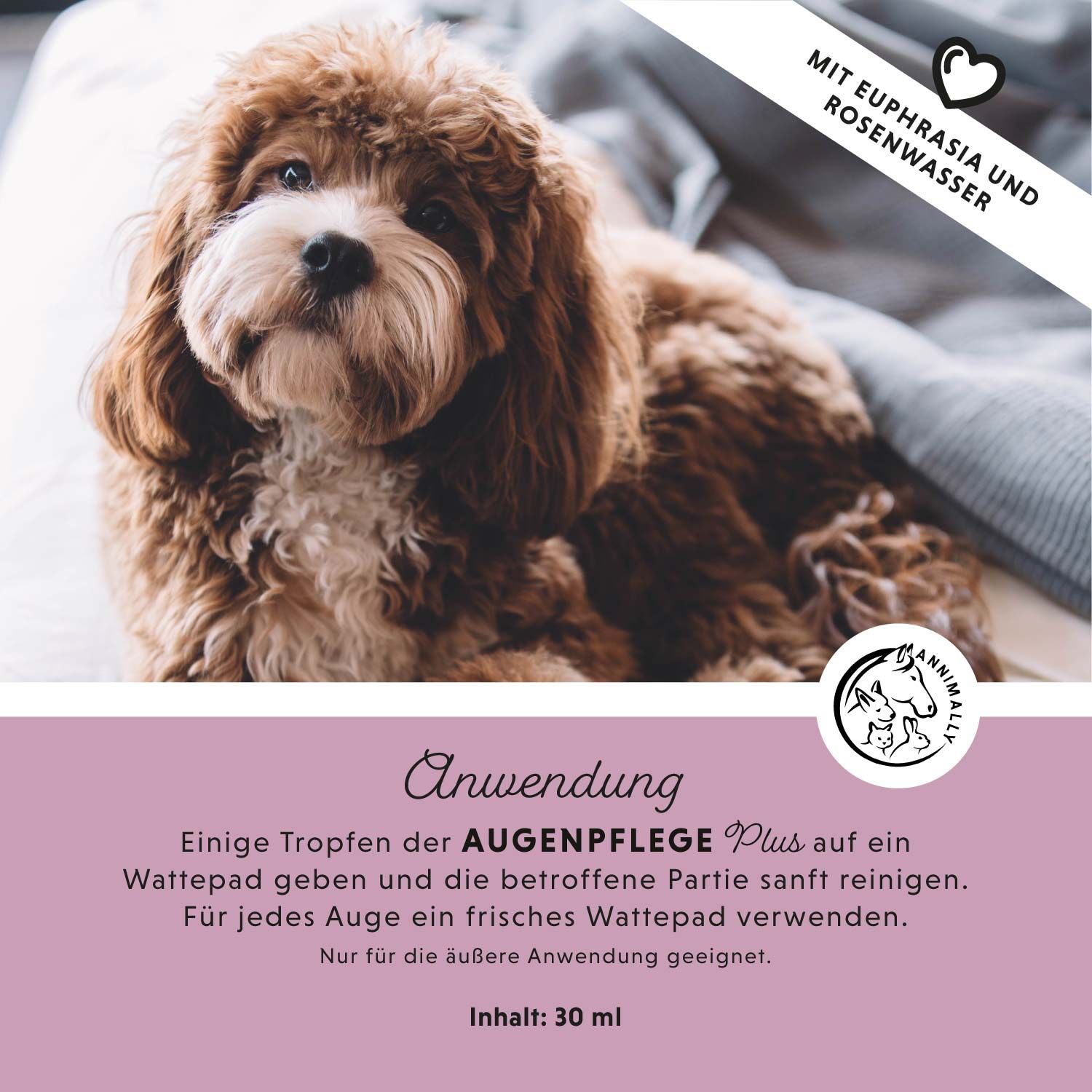 Text auf rosa Hintergrund mit Logo und Hund. Text beschreibt die Anwendung der Augenpflege Plus.