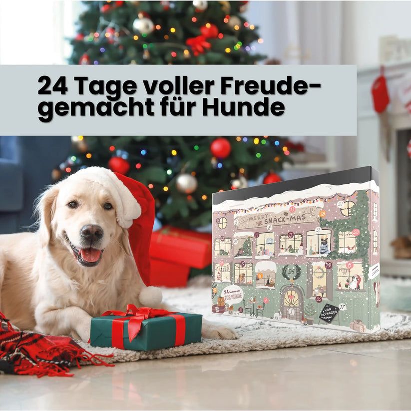 Adventskalender für Hunde. Hund mit Weihnachtsmütze liegt vor Geschenk. Text: 24 Tage voller Freude, gemacht für Hunde. Weihnachtsbaum im Hintergrund.