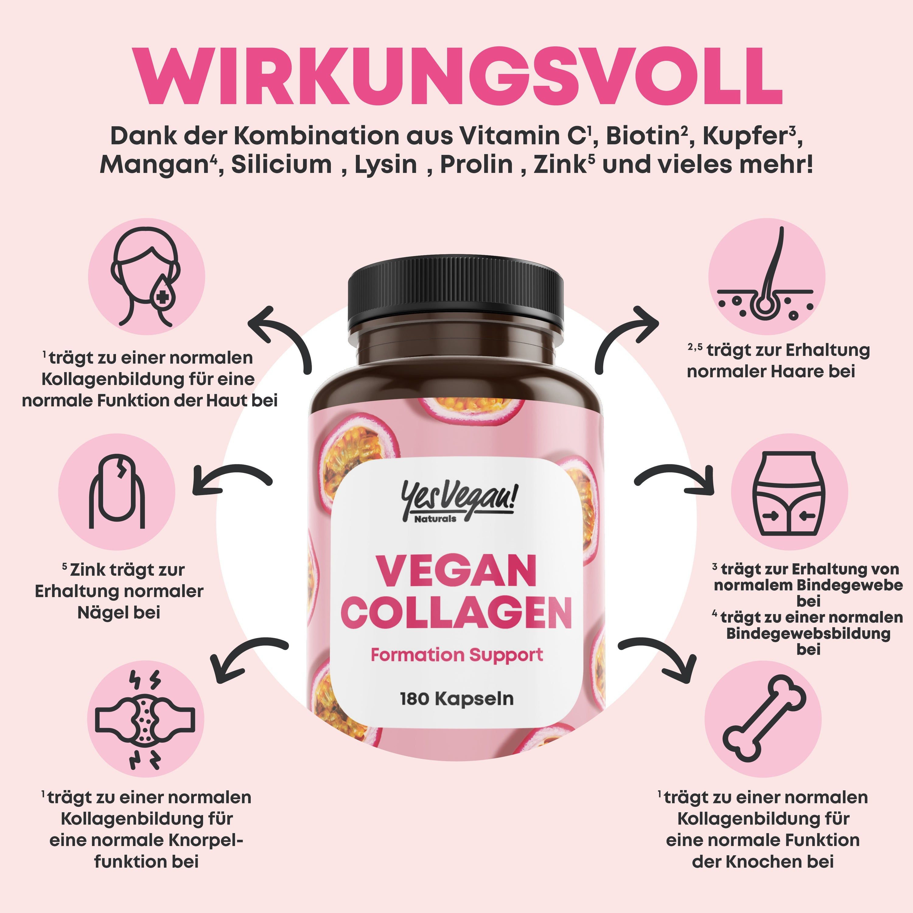 Produktflasche mit Icons und Text. Icons zeigen Vorteile für Haut, Haare, Nägel, Bindegewebe und Knochen. Text: Vegan Collagen.