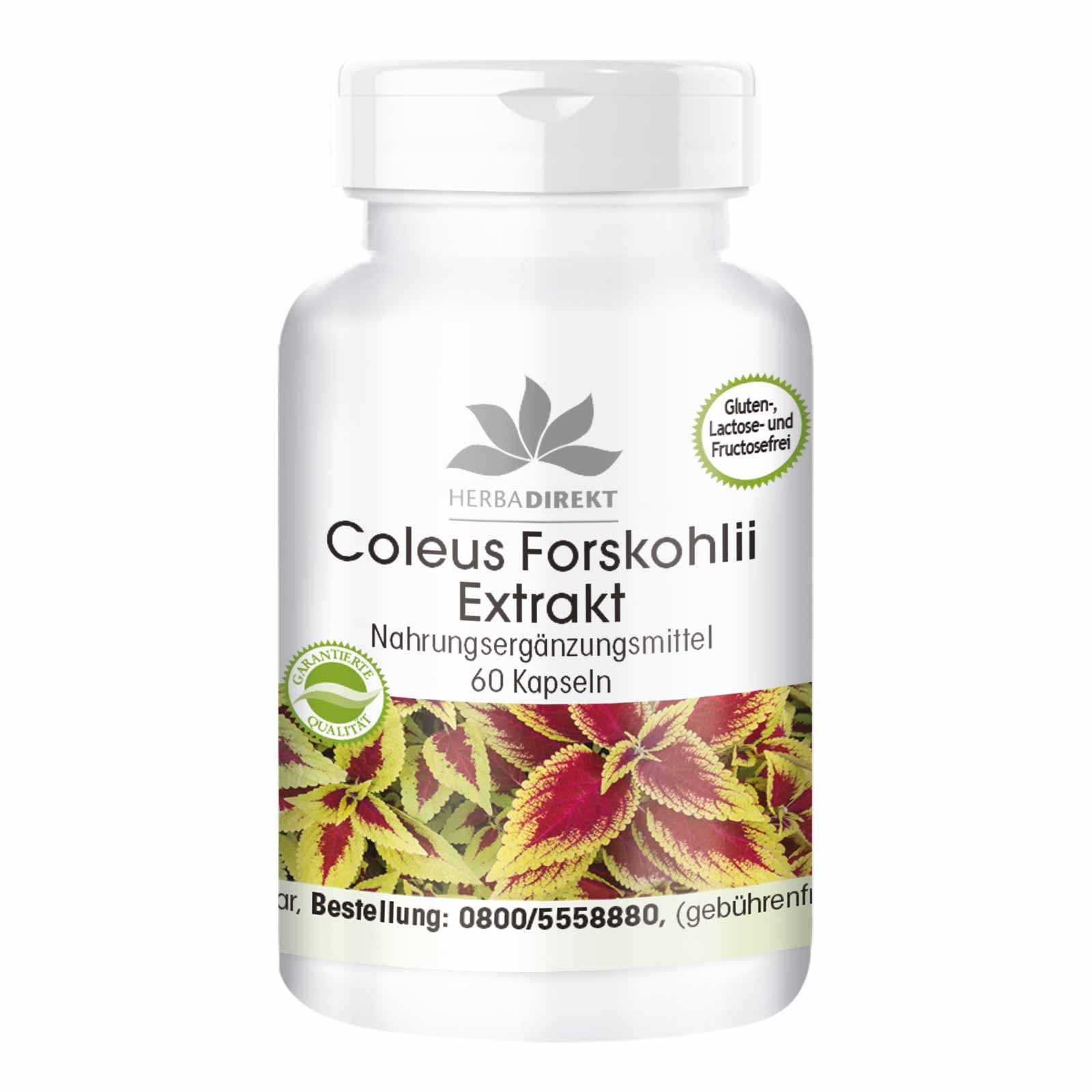 Weiße Kapsel-Dose mit Aufschrift Coleus Forskohlii Extrakt. 60 Kapseln. Herba Direkt Logo. Gluten-, Laktose- und Fructosefrei.