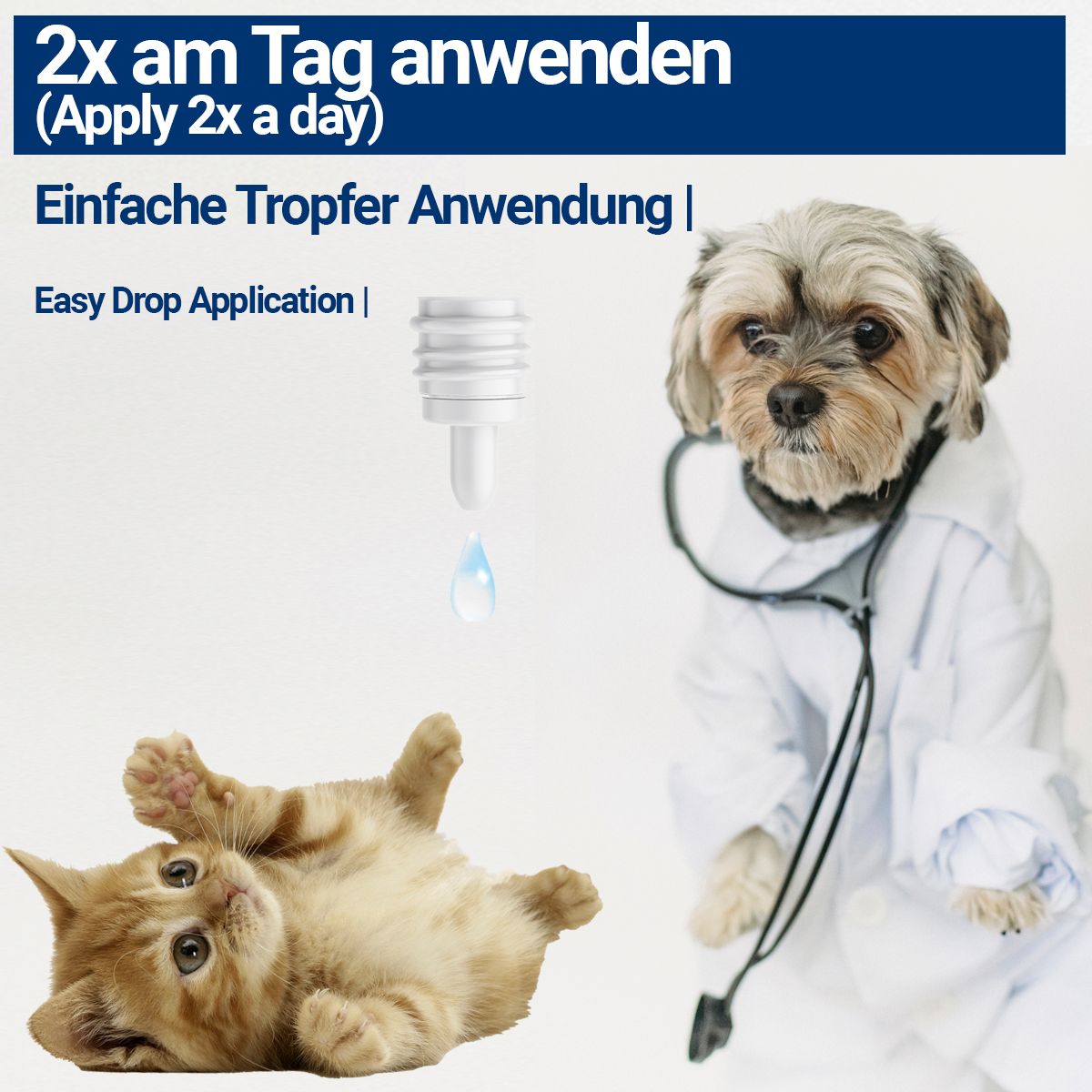 Katze und Hund mit Arztkittel und Stethoskop. Text: 2x am Tag anwenden, Einfache Tropfer Anwendung.