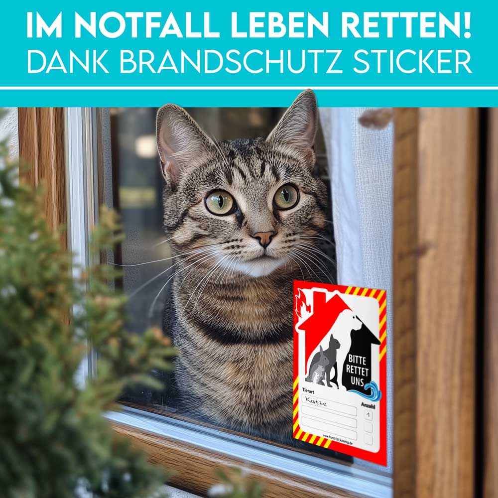 HUND IST KÖNIG® Notfall-Aufkleber zur Haustier-Rettung