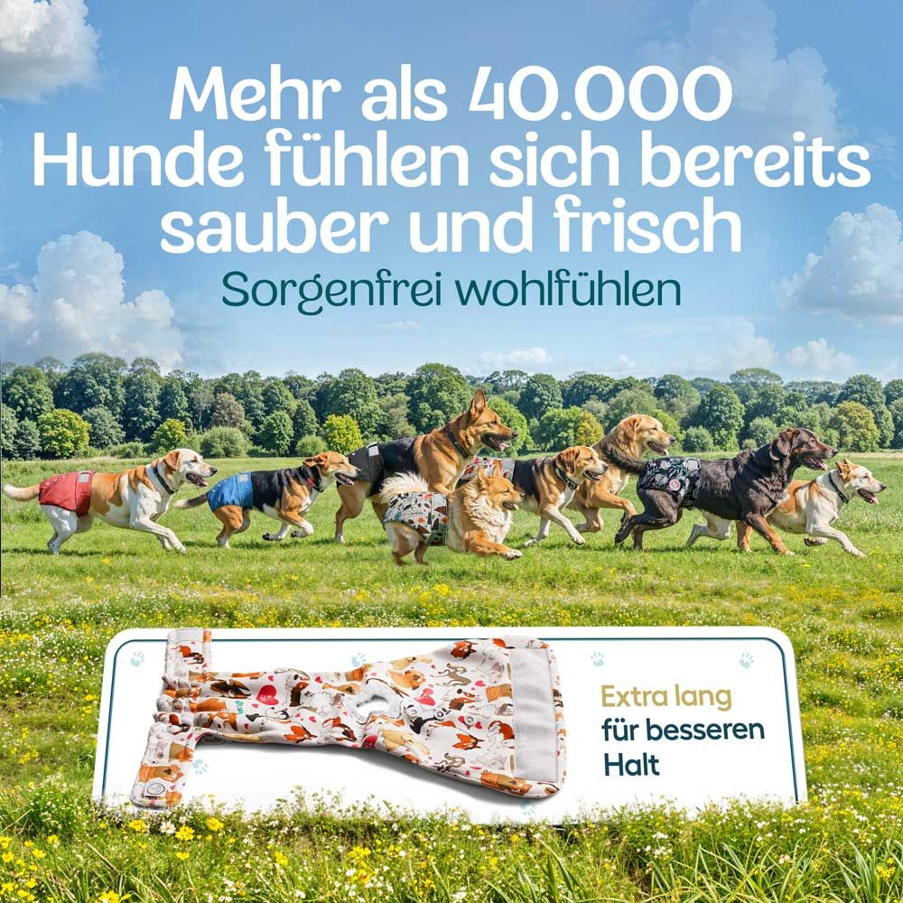 Mehrere Hunde auf einer Wiese, tragen Windeln. Text: Mehr als 40.000 Hunde fühlen sich sauber und frisch.