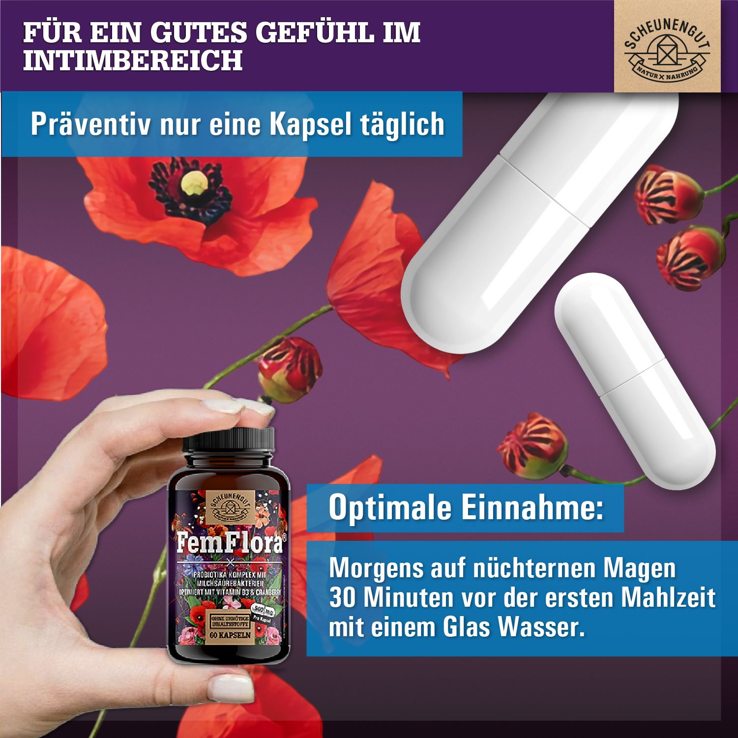 Braune Flasche mit FemFlora-Kapseln. Zwei Kapseln daneben. Rote Mohnblumen im Hintergrund. Text: Optimale Einnahme.