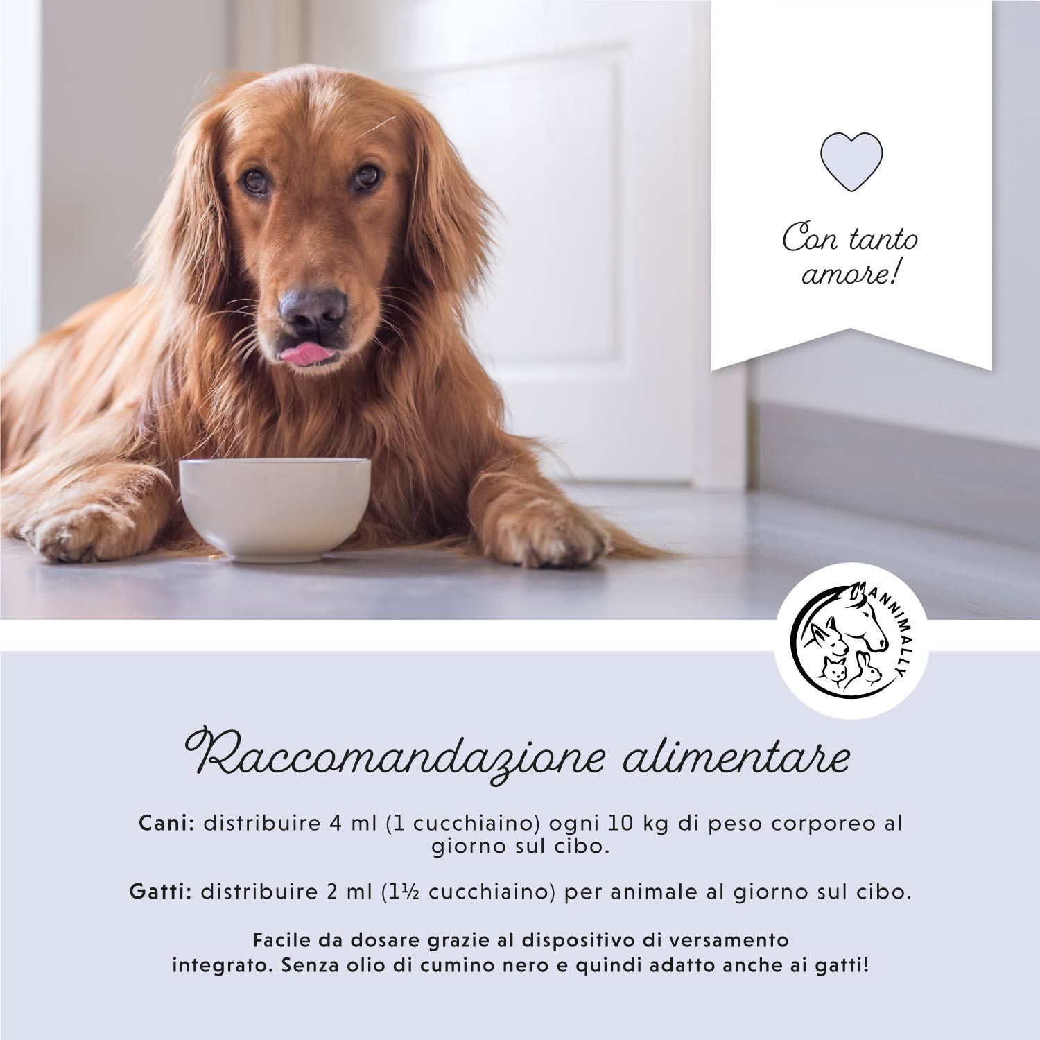 Text mit Fütterungsempfehlungen für Hunde und Katzen. Enthält Informationen zur Dosierung. Hund liegt neben einer Schüssel.
