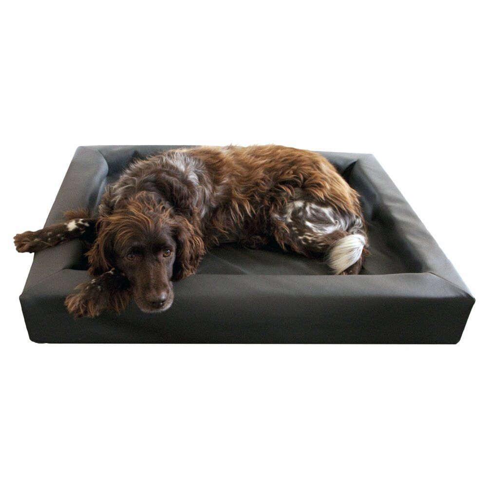 Lounge Dog Bed s