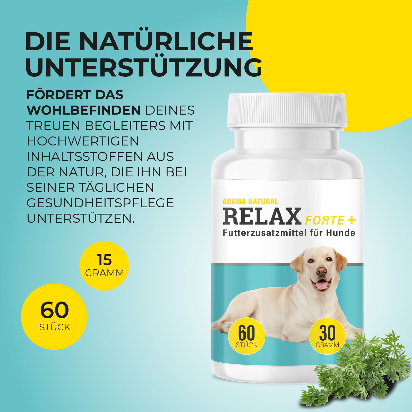 Flasche mit Tabletten, Text: Adema Natural Relax Forte+, 60 Stück, 30 Gramm. Hund auf blauem Hintergrund.