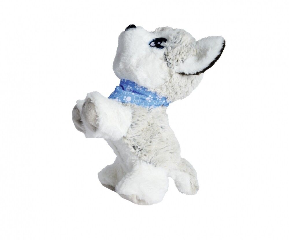 Plüschhund mit blauem Halstuch. Weiß-graues Fell, blaue Augen. Stehende Position, Blick nach oben.