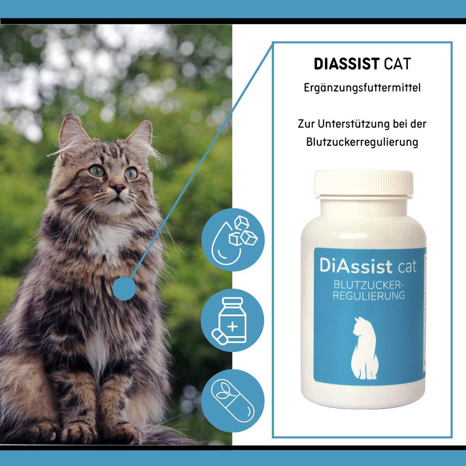 Katze im Freien neben einer Flasche DiAssist cat. Symbole für Flüssigkeit, Würfelzucker und Pillen.