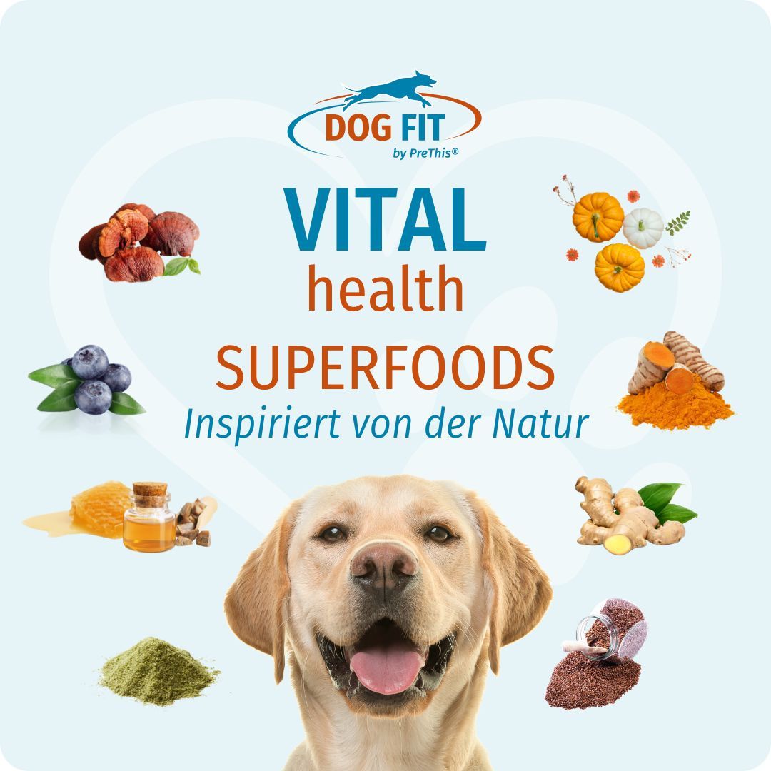 Logo DOG FIT by PreThis®, Vital Health Superfoods. Abbildung von Zutaten: Blaubeeren, Kürbis, Kurkuma, Ingwer, etc. Ein Hund lächelt.