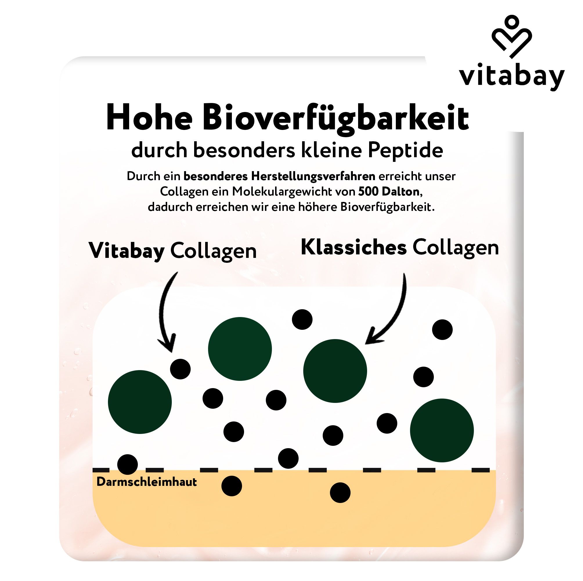 Grafik mit Diagramm. Vitabay Collagen im Vergleich zu klassischem Collagen. Pfeile zeigen auf unterschiedlich große Punkte.